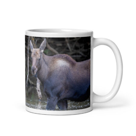 Baby Moose! White glossy mug