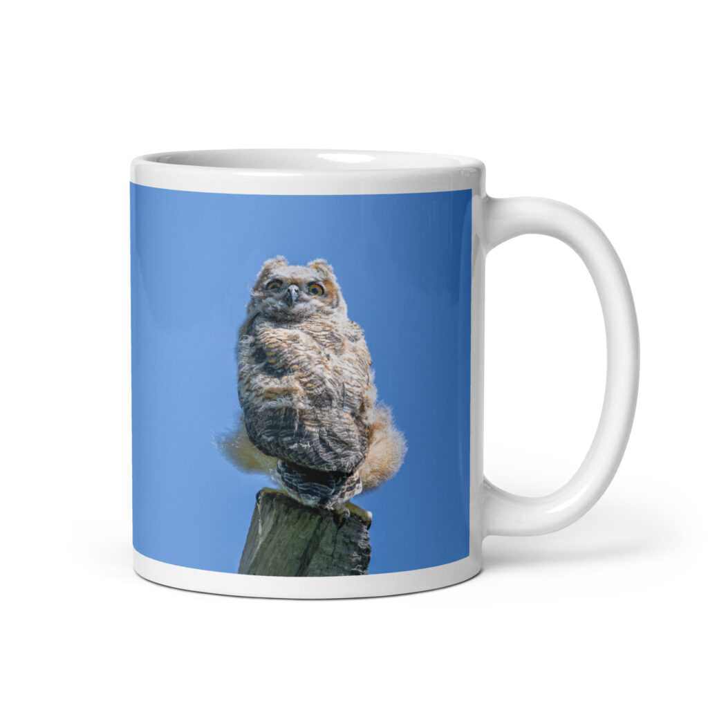 Baby Great horned owl! White glossy mug