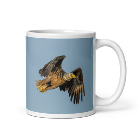 Bald Eagle in Flight at Sunrise! White glossy mug