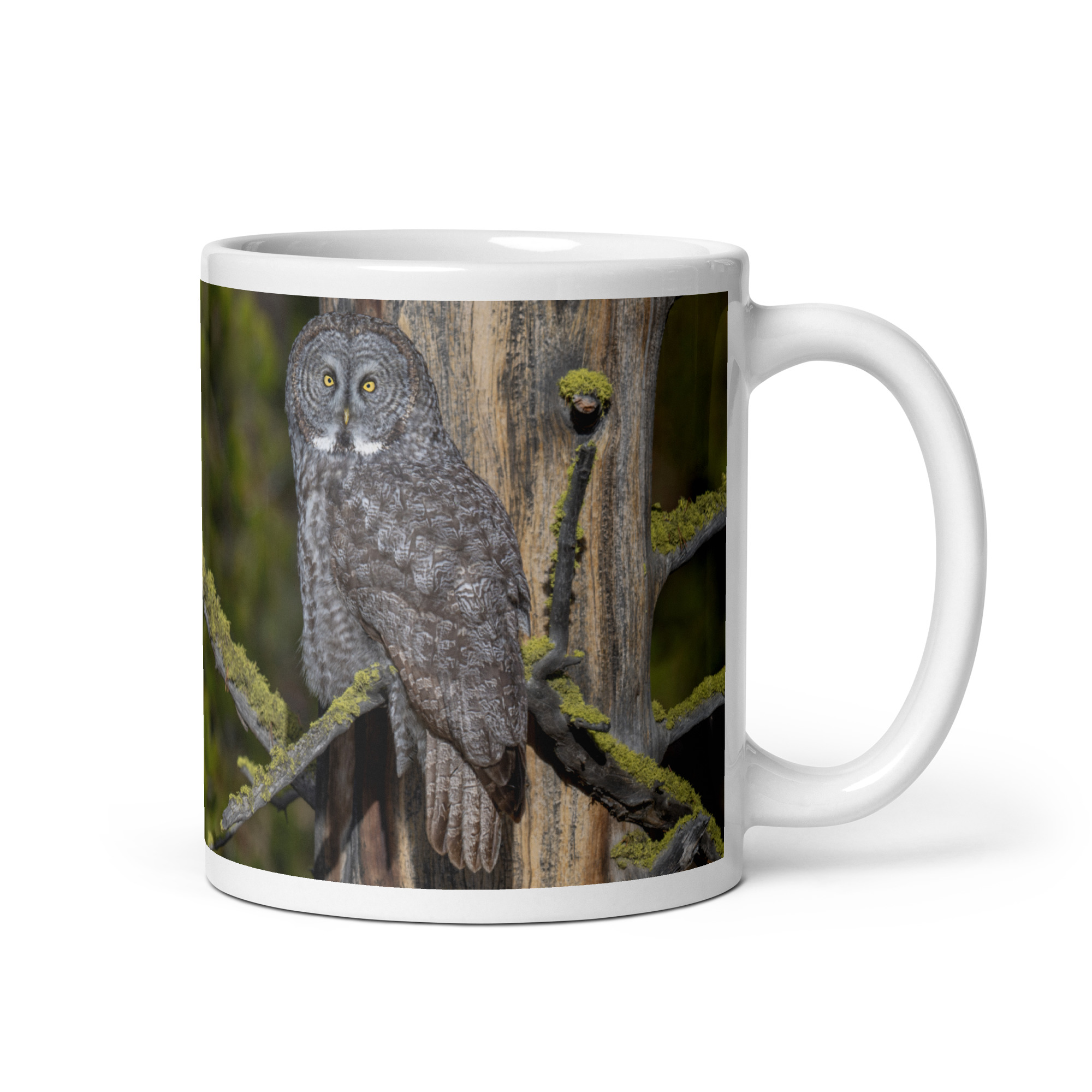 Great Grey Owl Basking in the Sun! White glossy mug
