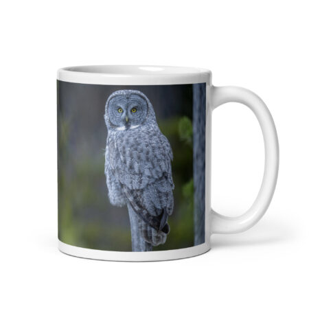 Great Grey Owl! White glossy mug