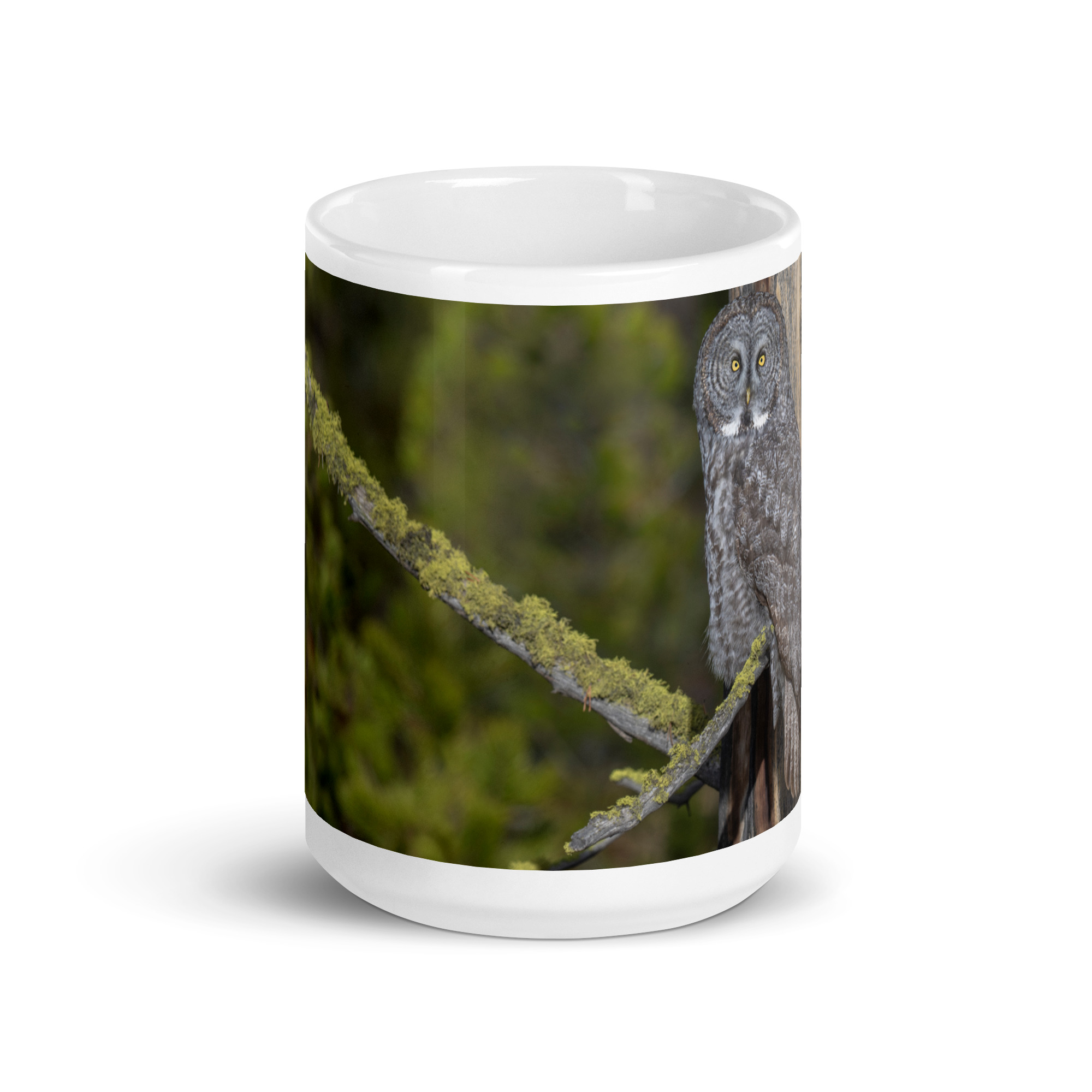 Great Grey Owl Basking in the Sun! White glossy mug - Image 6