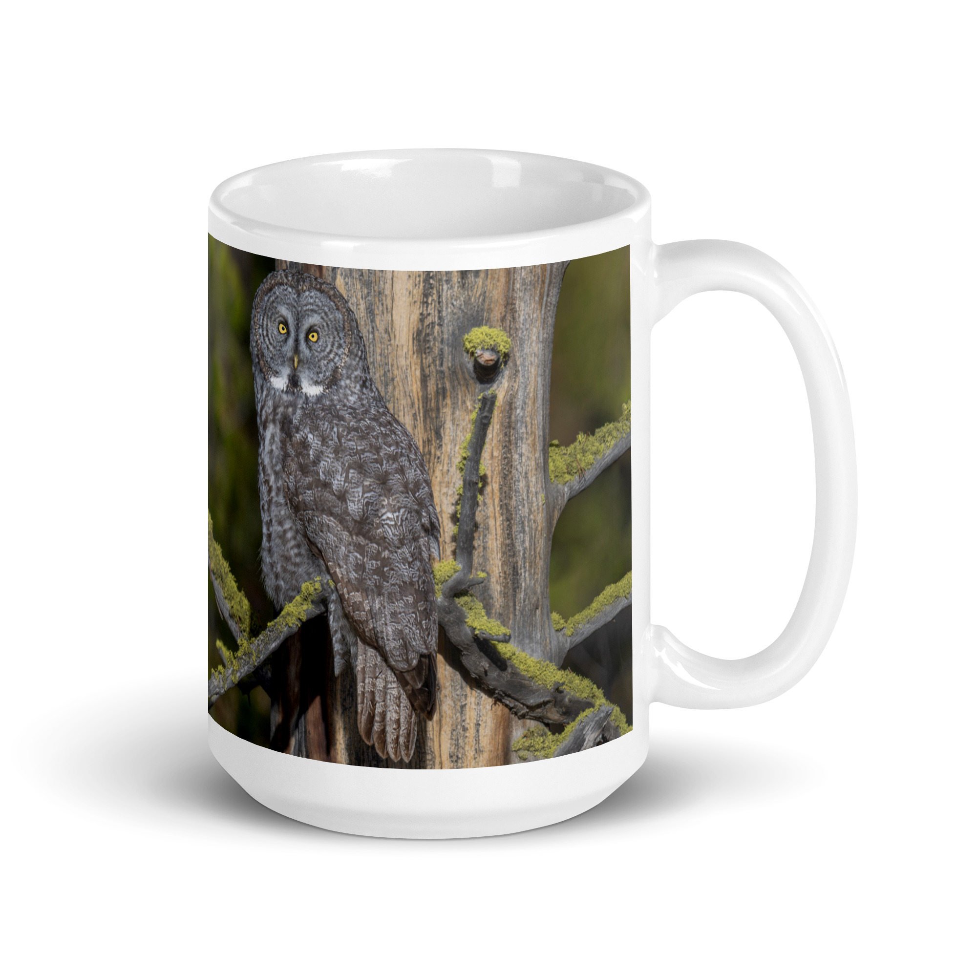 Great Grey Owl Basking in the Sun! White glossy mug - Image 4