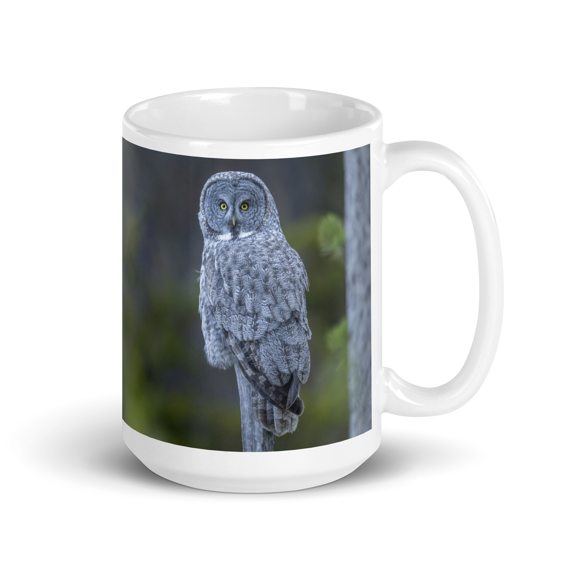 Great Grey Owl! White glossy mug - Image 4