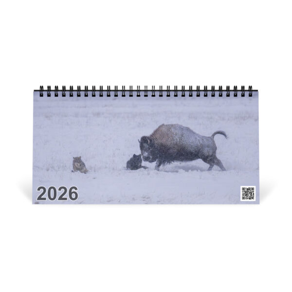 2026 Desk Calendar with high resolution images of Birds and Mammals in their natural habitat