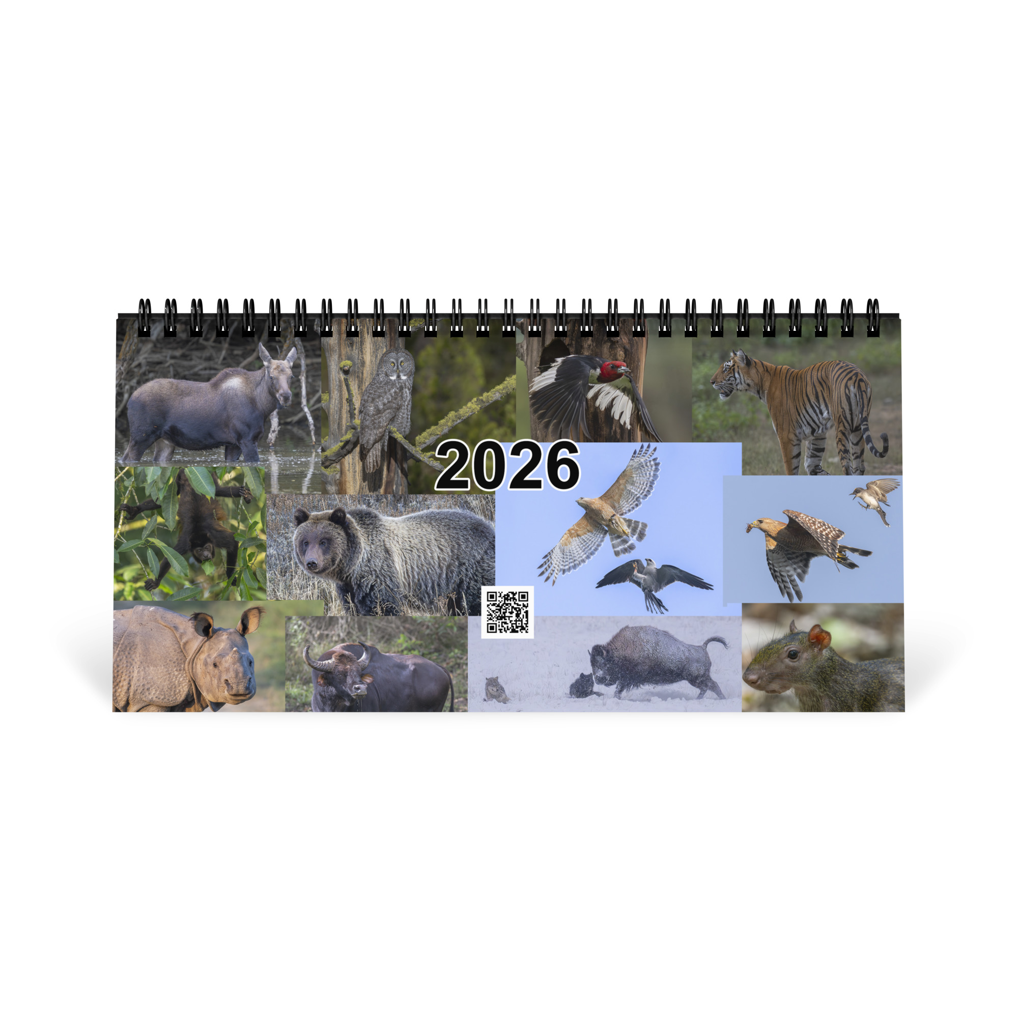 2026 Desk Calendar with high resolution images of Birds and Mammals in their natural habitat