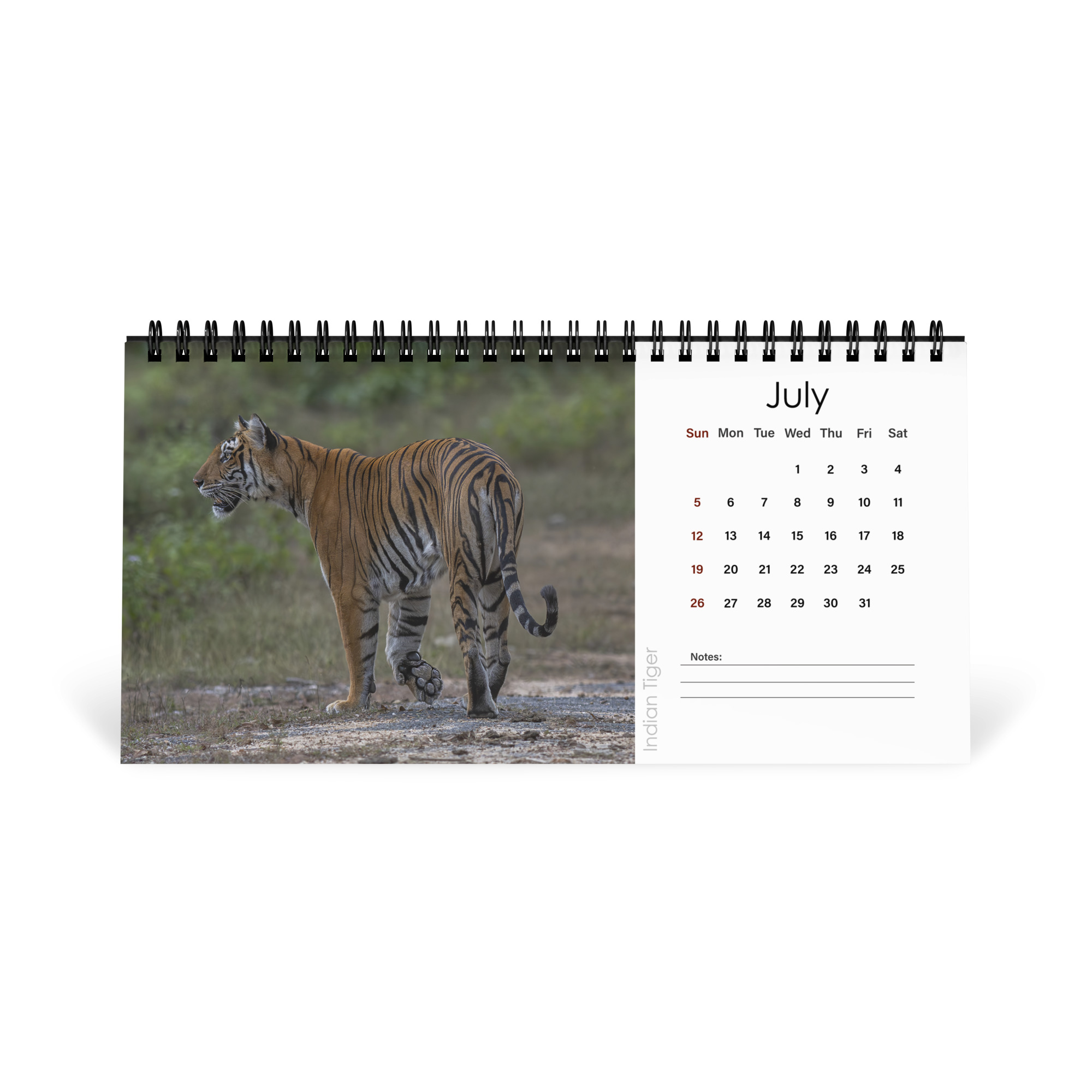2026 Desk Calendar with high resolution images of Birds and Mammals in their natural habitat - Image 8