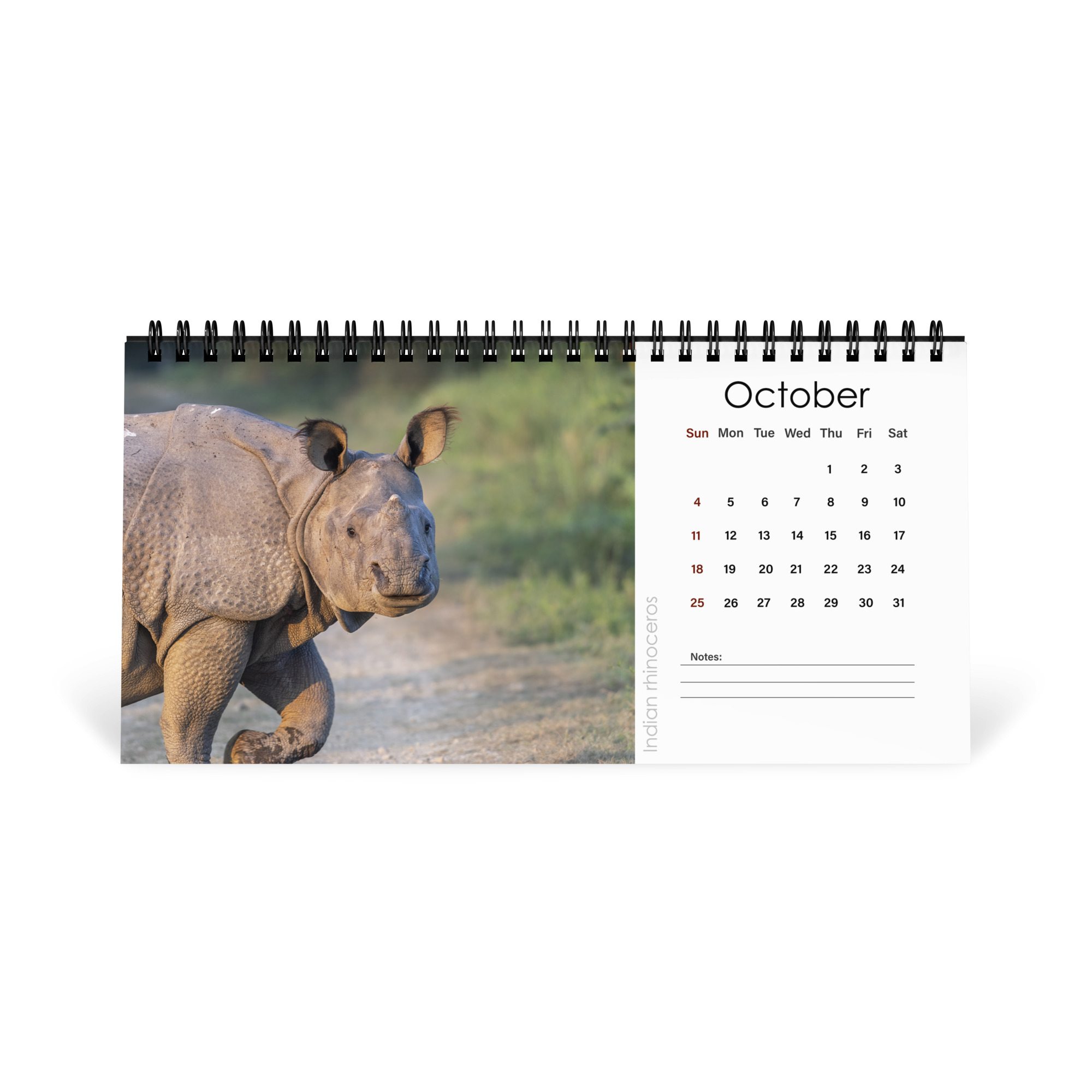 2026 Desk Calendar with high resolution images of Birds and Mammals in their natural habitat - Image 11
