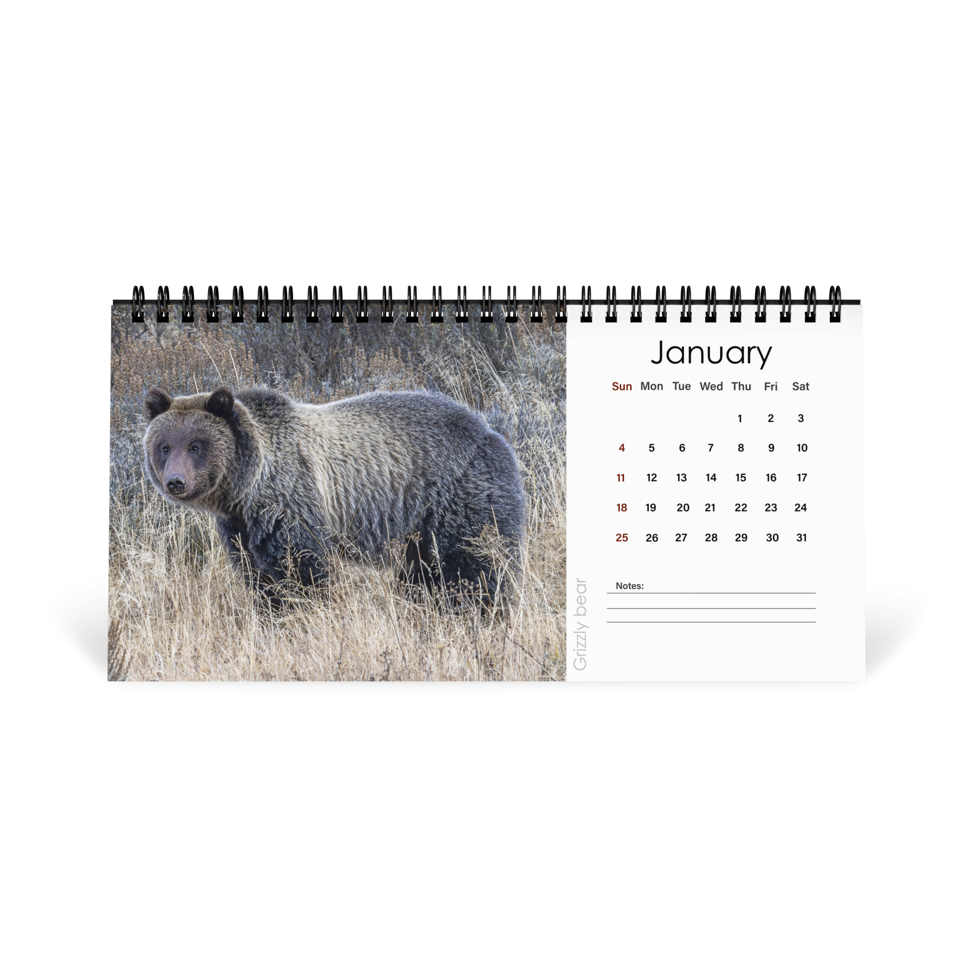 2026 Desk Calendar with high resolution images of Birds and Mammals in their natural habitat - Image 2