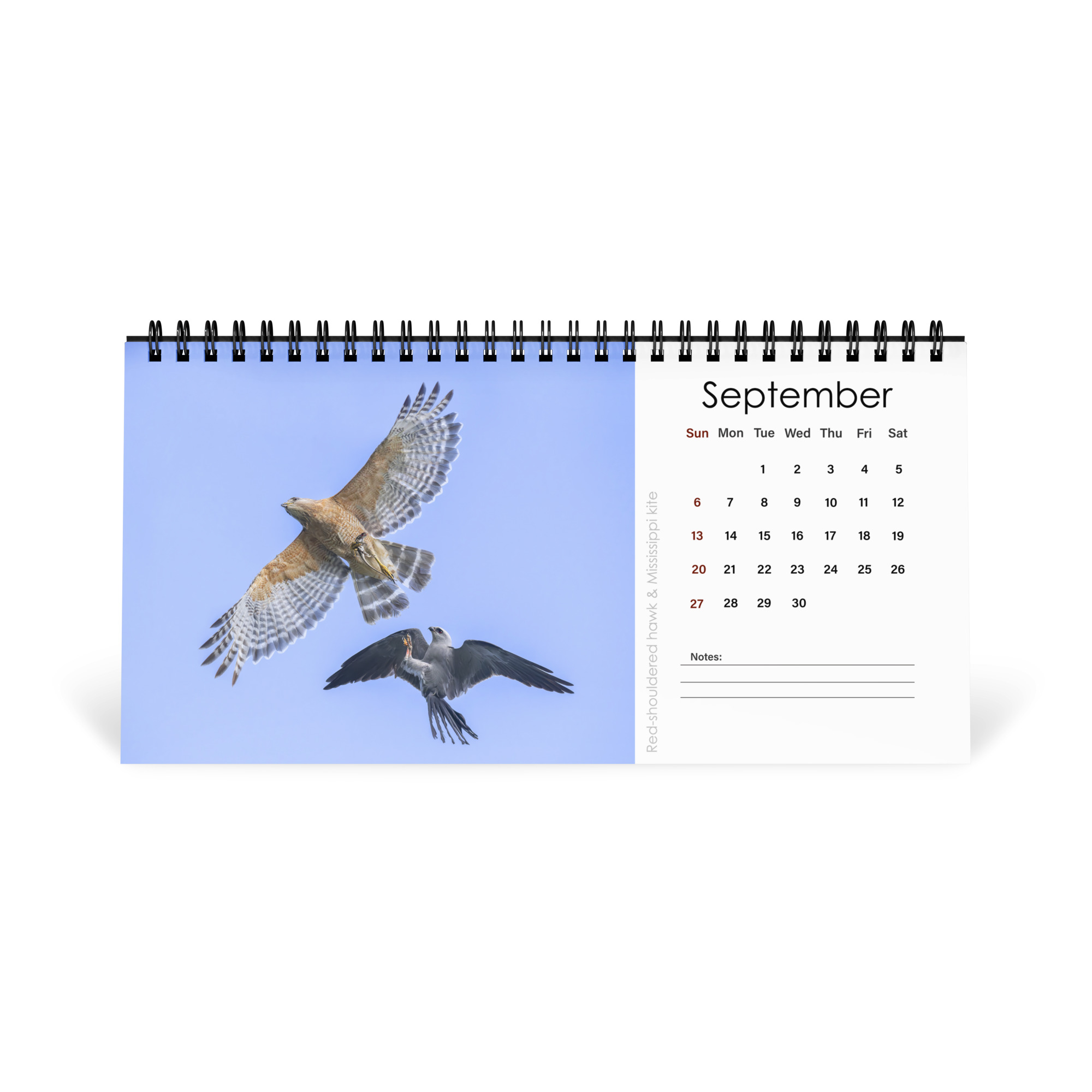 2026 Desk Calendar with high resolution images of Birds and Mammals in their natural habitat - Image 10