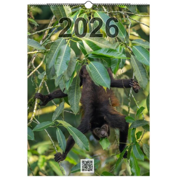 2026 Wall Calendar with high resolution images of Birds and Mammals in their natural habitat