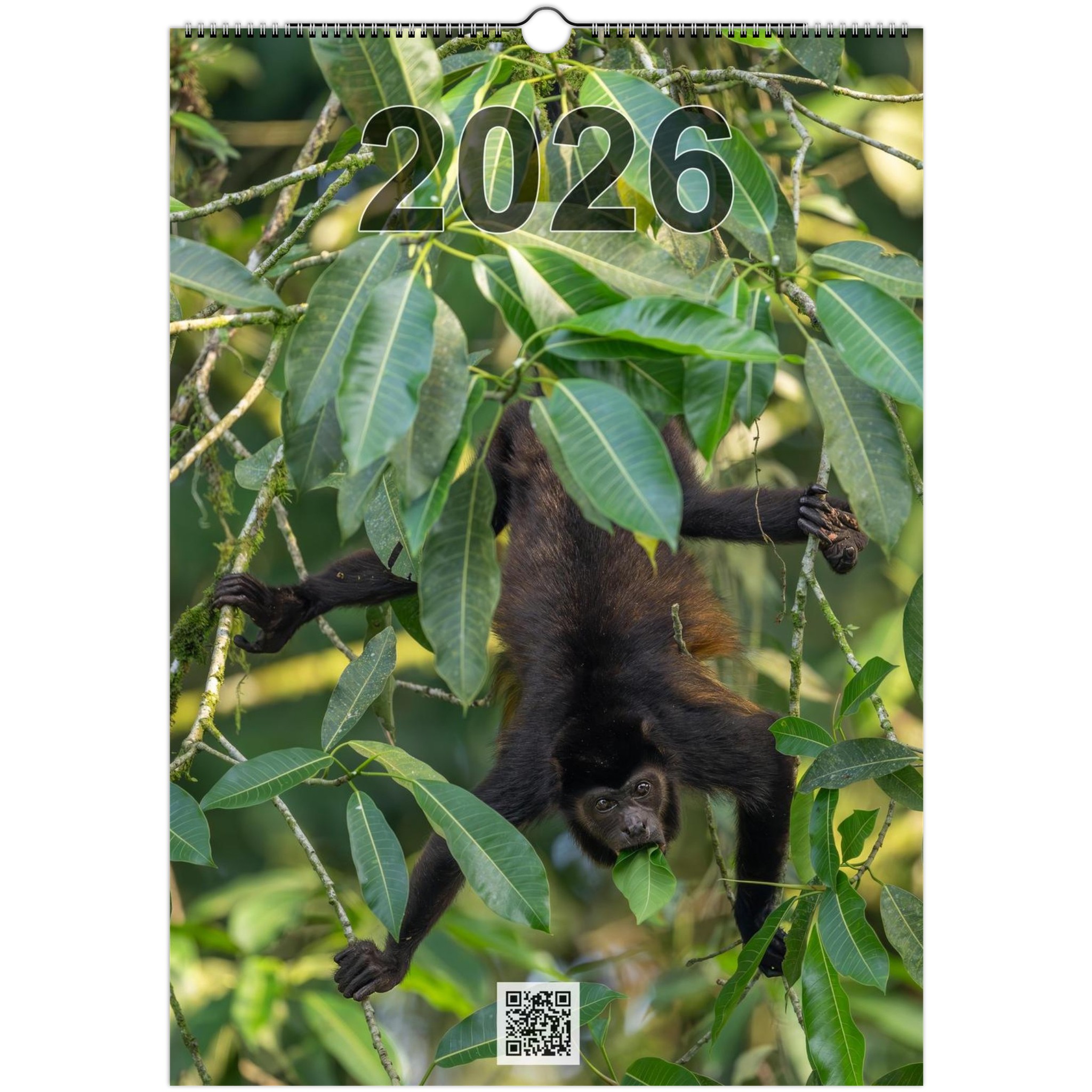 2026 Wall Calendar with high resolution images of Birds and Mammals in their natural habitat