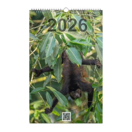 2026 Wall Calendar with high resolution images of Birds and Mammals in their natural habitat