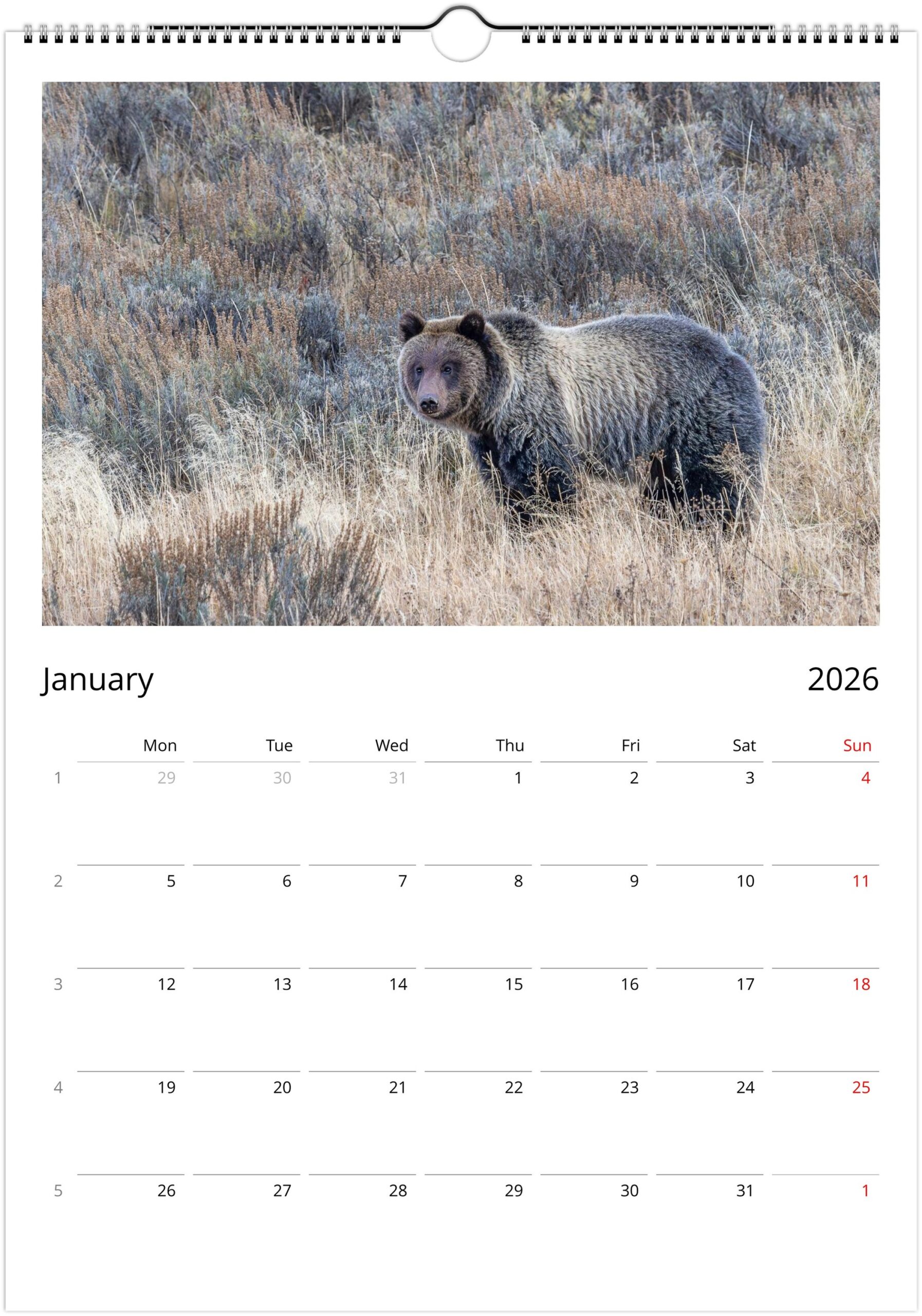 2026 Wall Calendar with high resolution images of Birds and Mammals in their natural habitat - Image 2