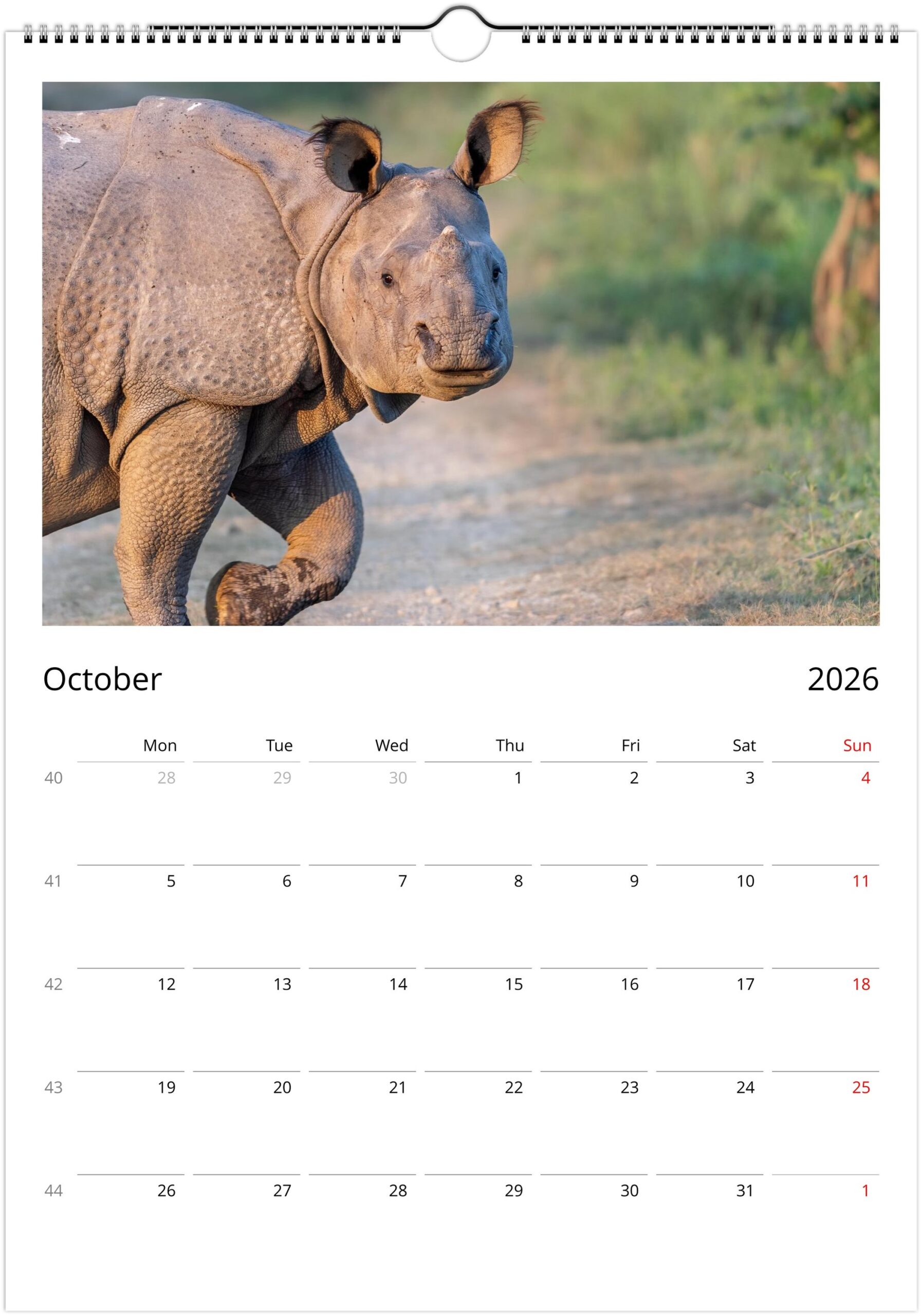2026 Wall Calendar with high resolution images of Birds and Mammals in their natural habitat - Image 11