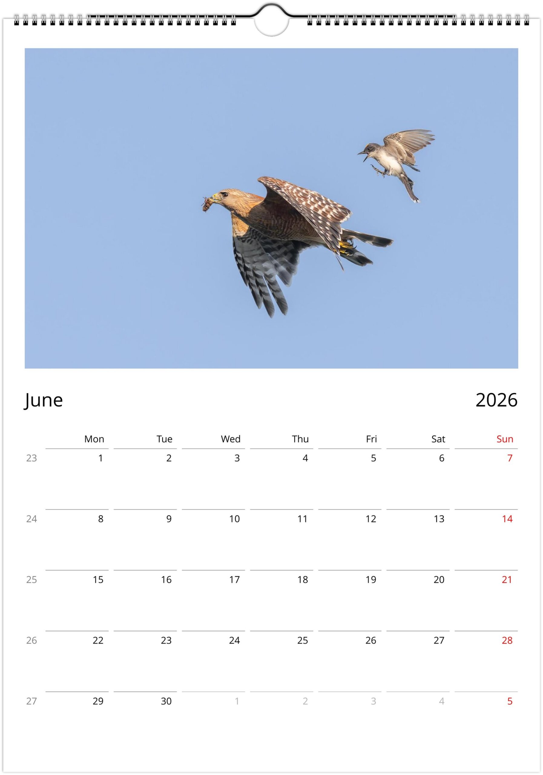 2026 Wall Calendar with high resolution images of Birds and Mammals in their natural habitat - Image 7
