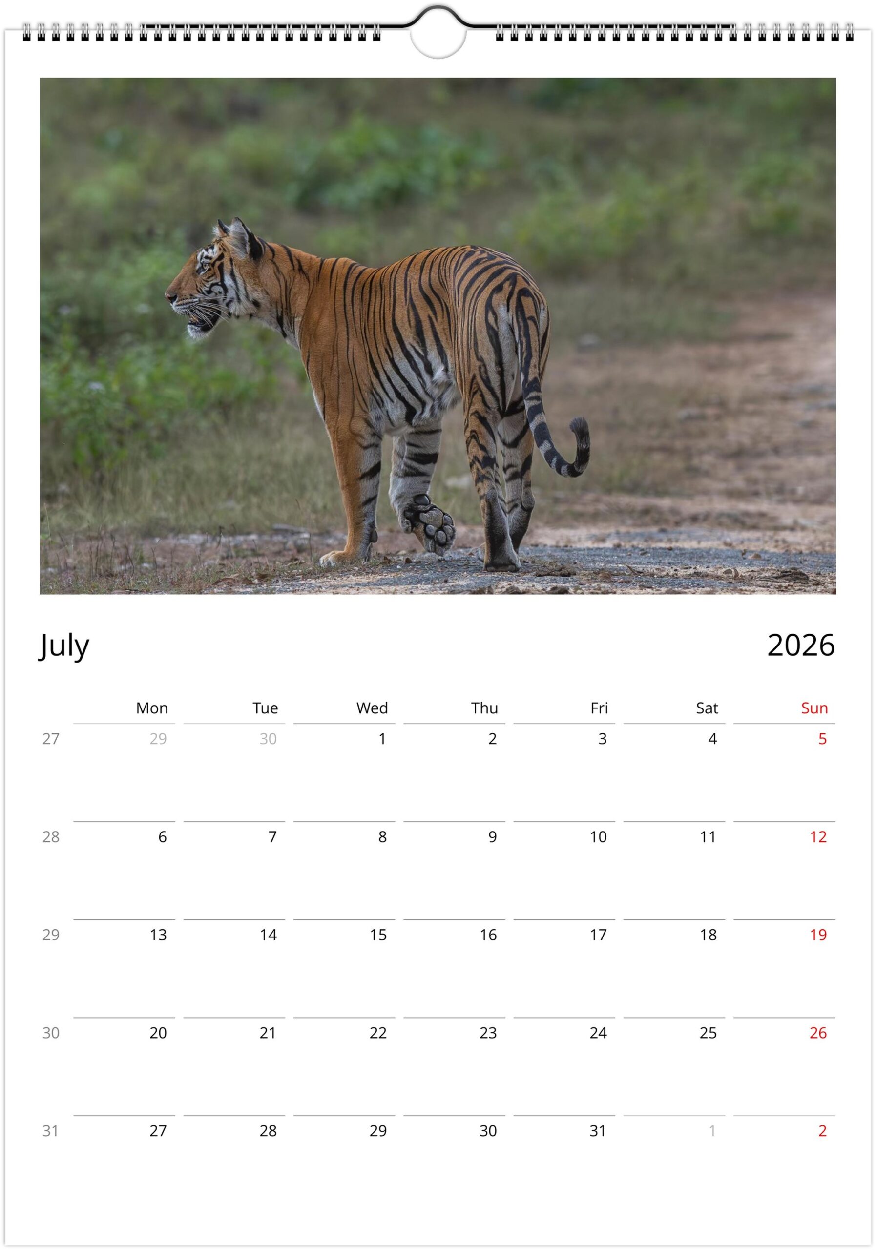 2026 Wall Calendar with high resolution images of Birds and Mammals in their natural habitat - Image 8