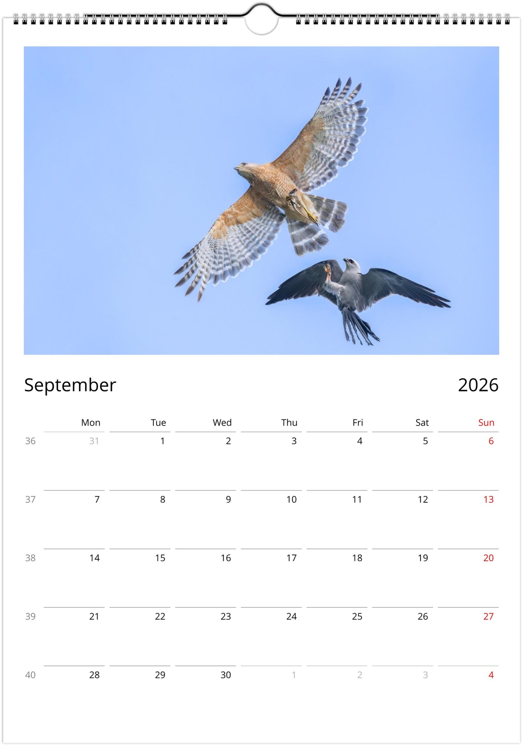 2026 Wall Calendar with high resolution images of Birds and Mammals in their natural habitat - Image 10
