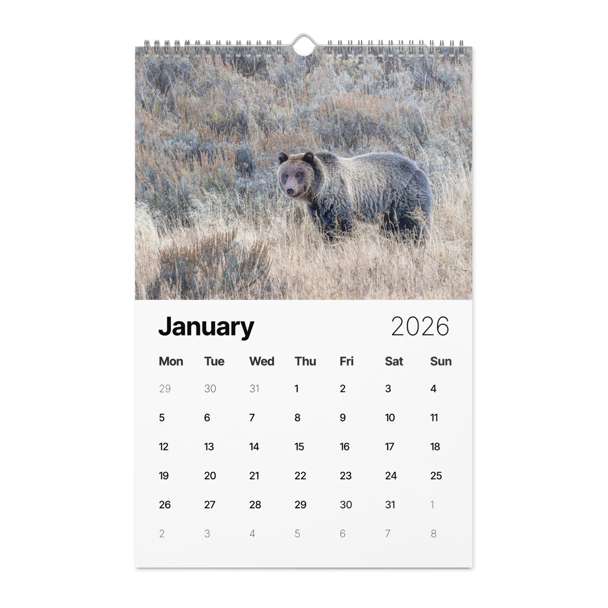 2026 Wall Calendar with high resolution images of Birds and Mammals in their natural habitat - Image 2