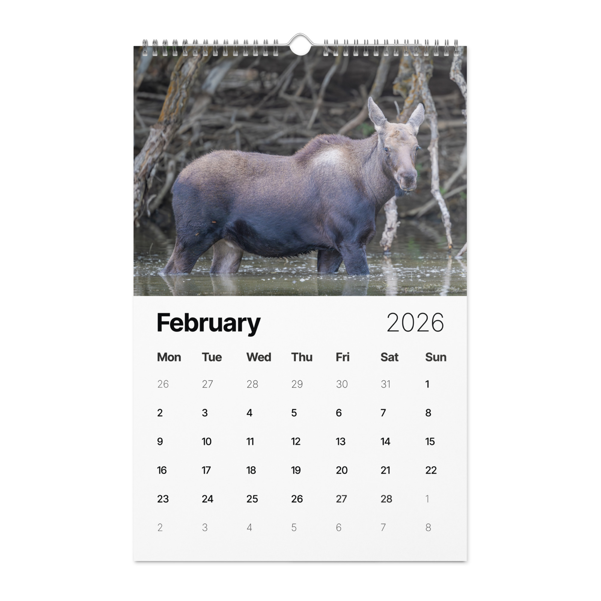 2026 Wall Calendar with high resolution images of Birds and Mammals in their natural habitat - Image 3