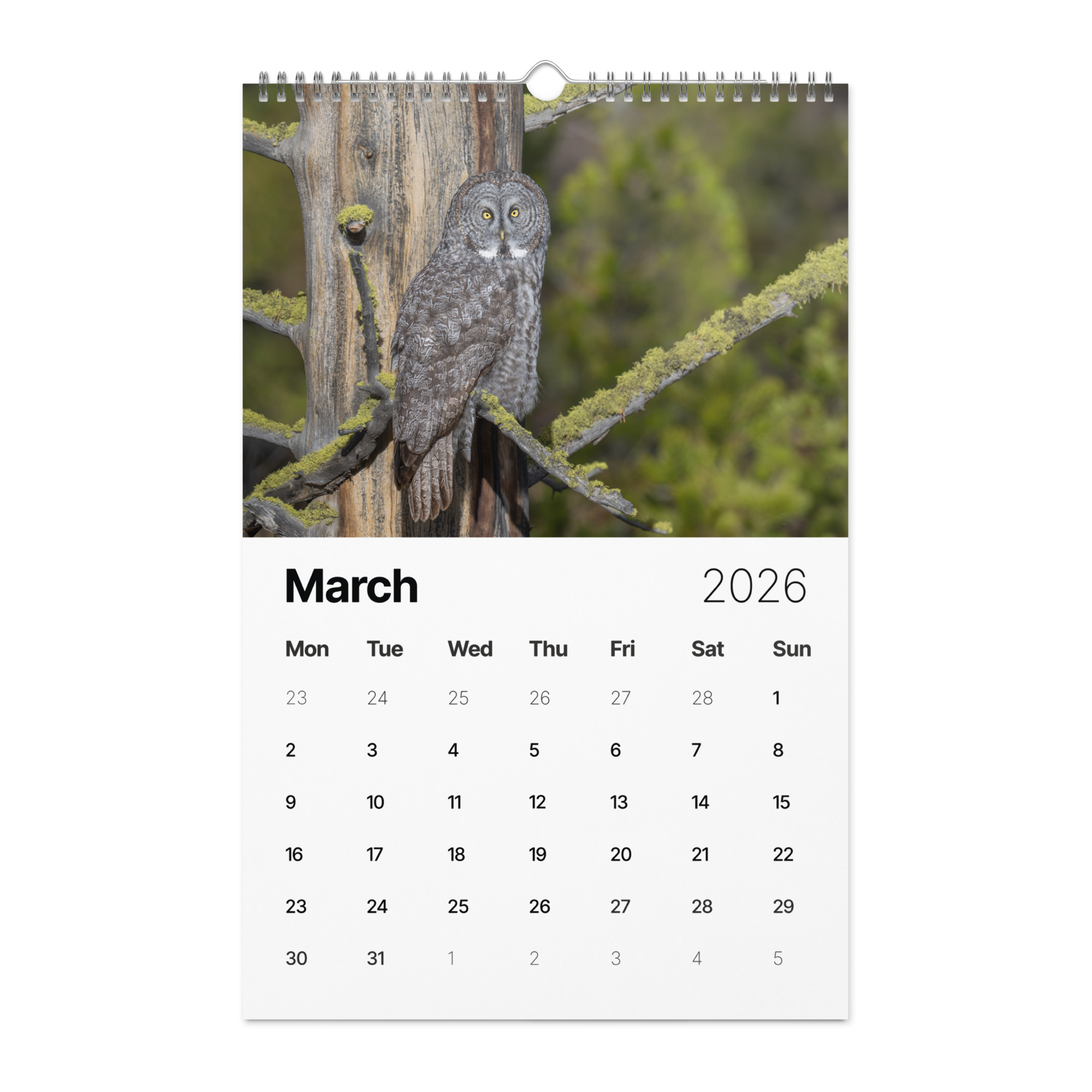 2026 Wall Calendar with high resolution images of Birds and Mammals in their natural habitat - Image 4