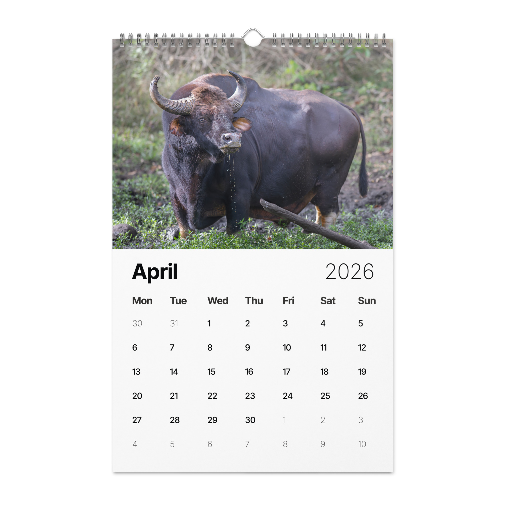 2026 Wall Calendar with high resolution images of Birds and Mammals in their natural habitat - Image 5