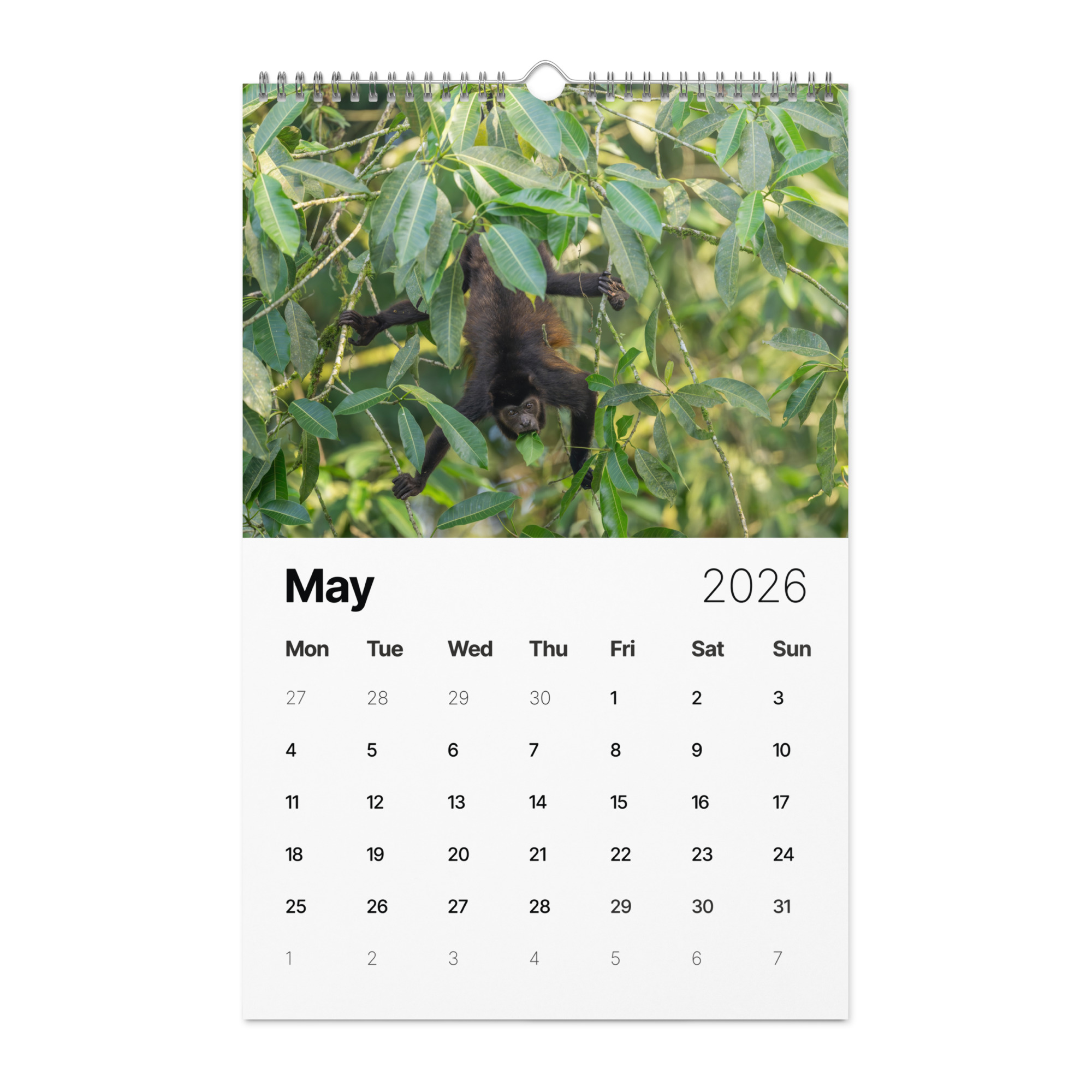 2026 Wall Calendar with high resolution images of Birds and Mammals in their natural habitat - Image 6