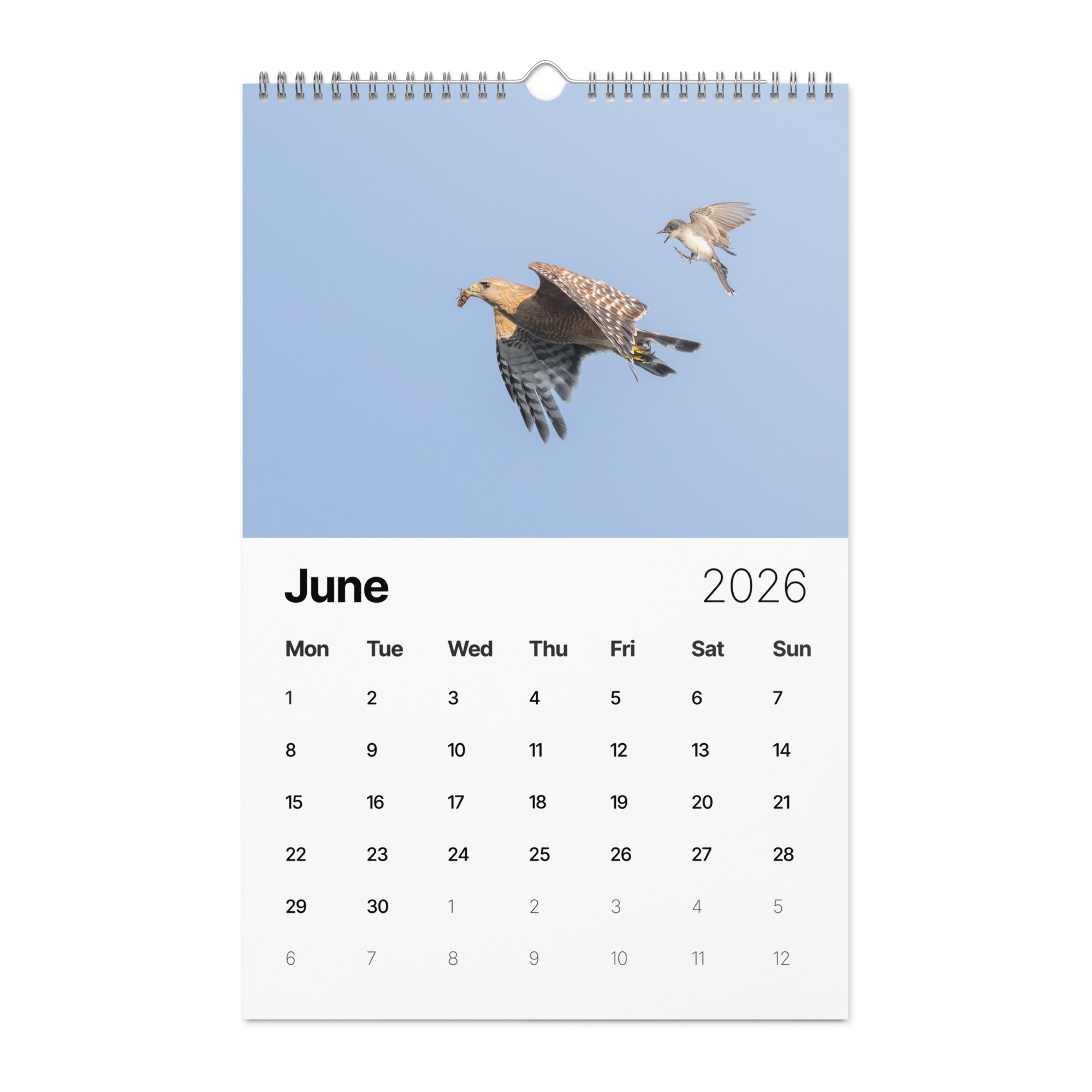 2026 Wall Calendar with high resolution images of Birds and Mammals in their natural habitat - Image 7