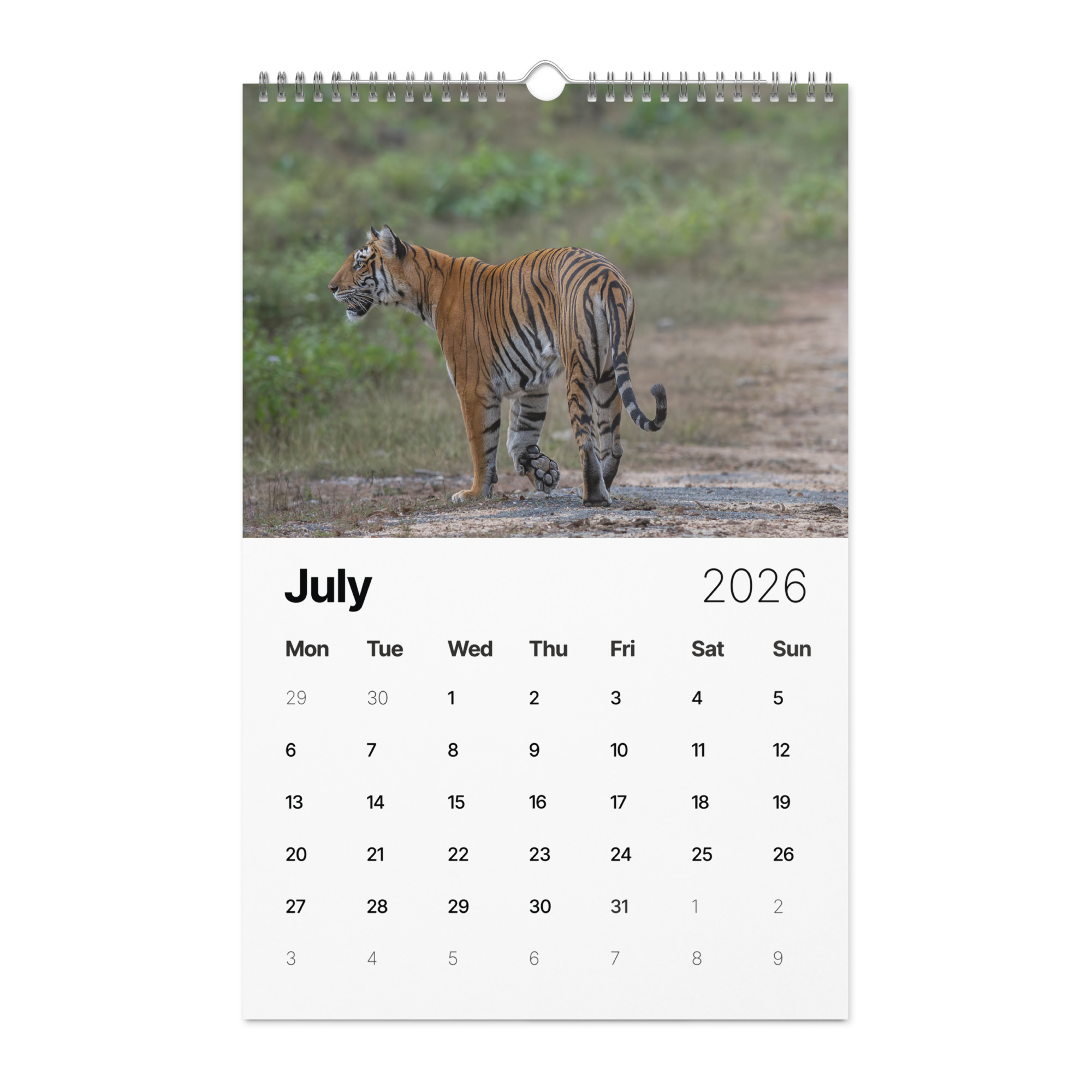 2026 Wall Calendar with high resolution images of Birds and Mammals in their natural habitat - Image 8