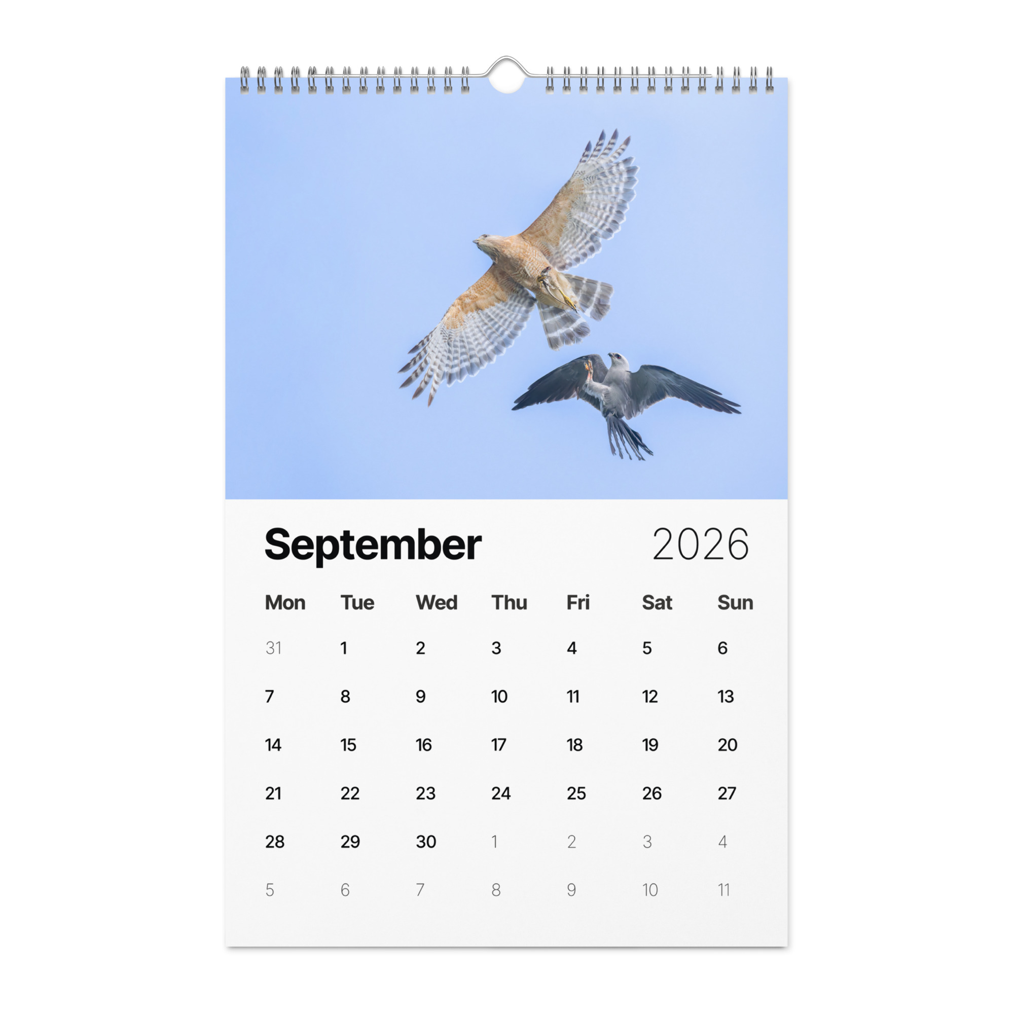 2026 Wall Calendar with high resolution images of Birds and Mammals in their natural habitat - Image 10
