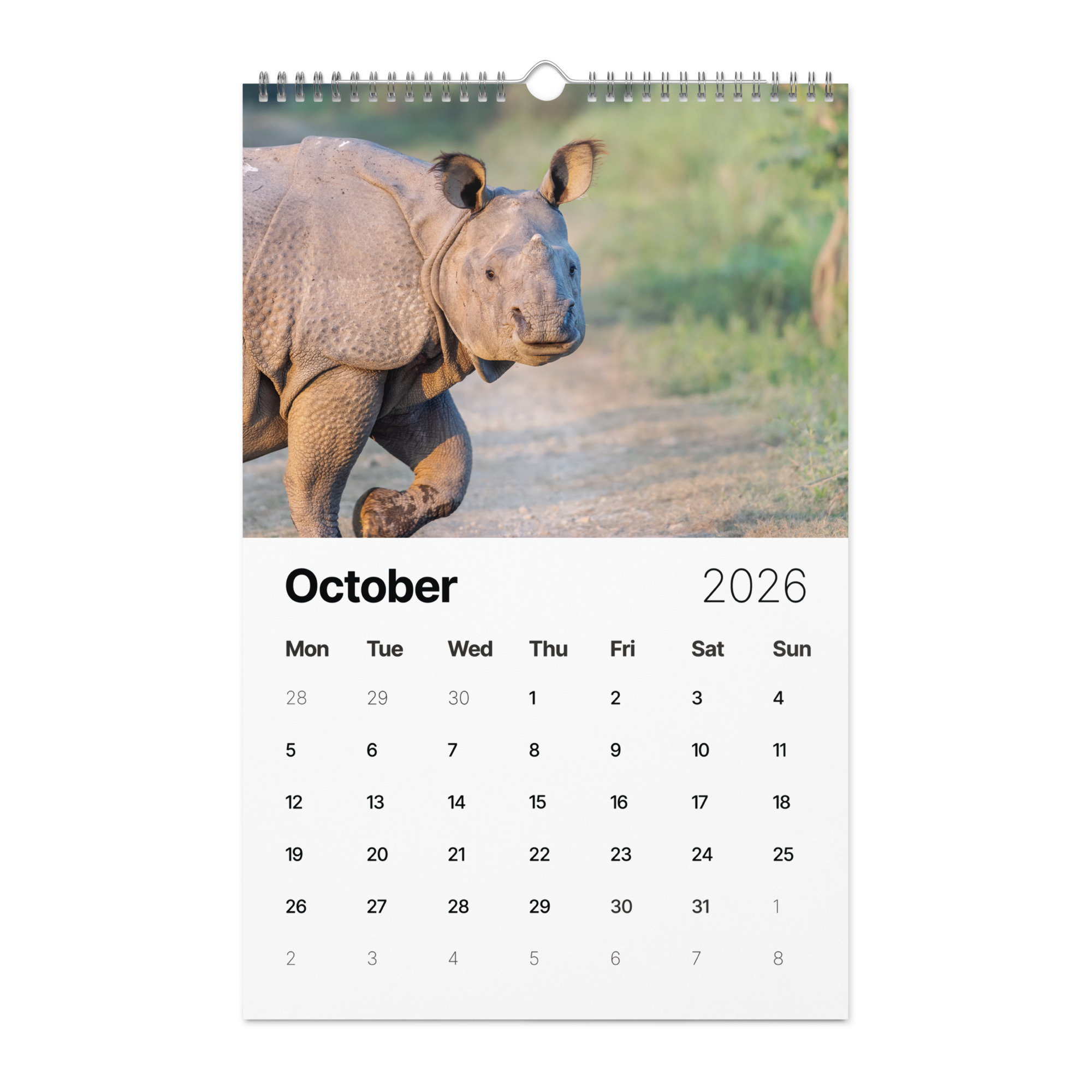 2026 Wall Calendar with high resolution images of Birds and Mammals in their natural habitat - Image 11