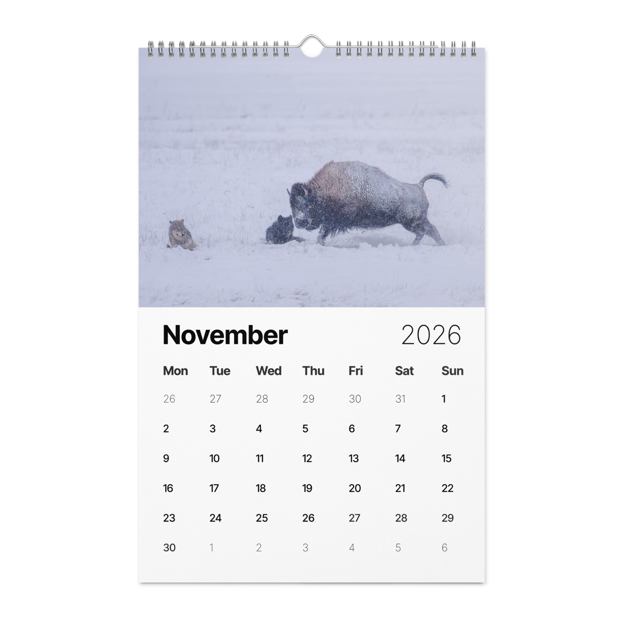 2026 Wall Calendar with high resolution images of Birds and Mammals in their natural habitat - Image 12