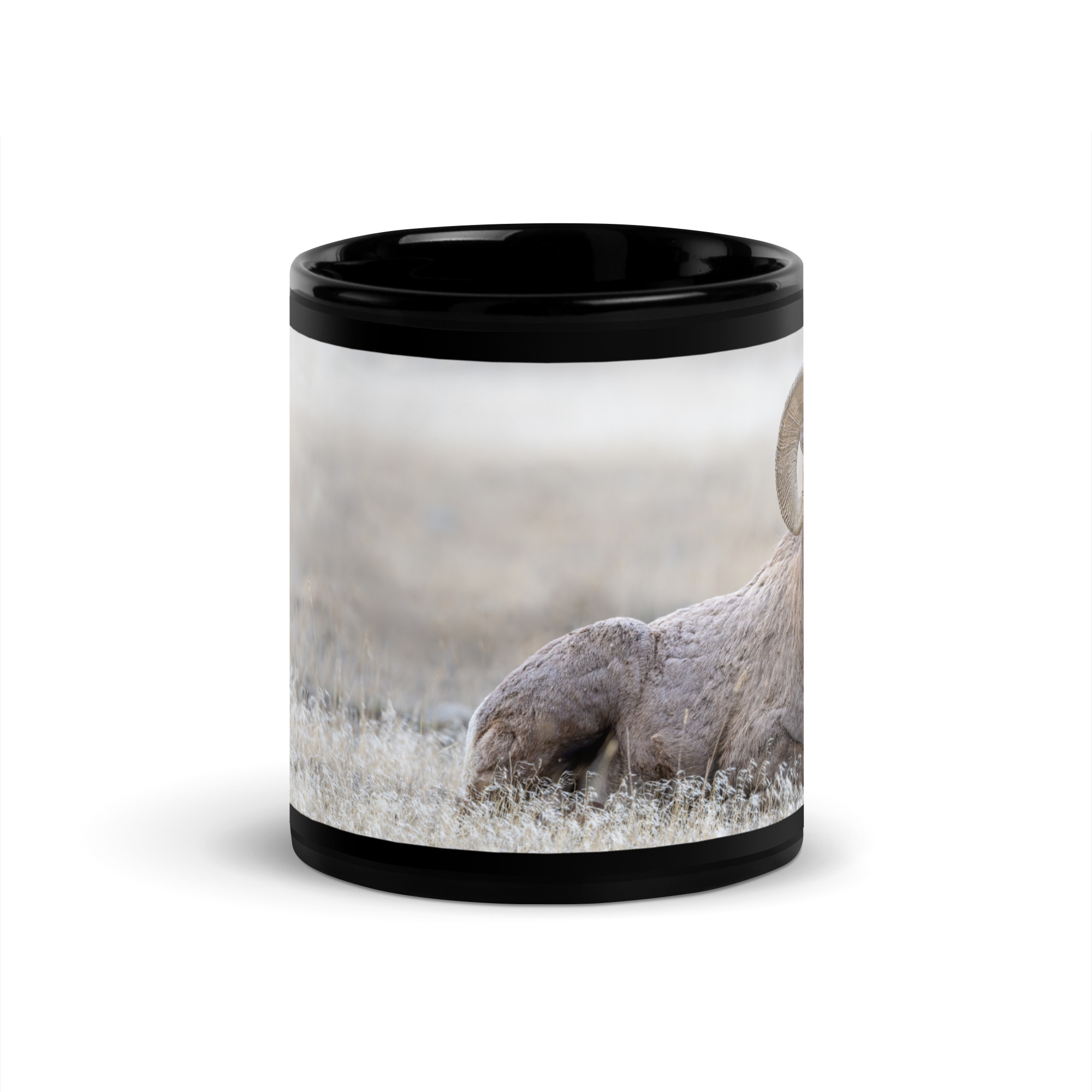Relaxing Ram Big Horn Sheep! Black Glossy Mug - Image 3