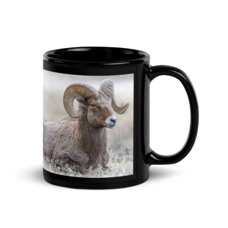 Relaxing Ram Big Horn Sheep! Black Glossy Mug