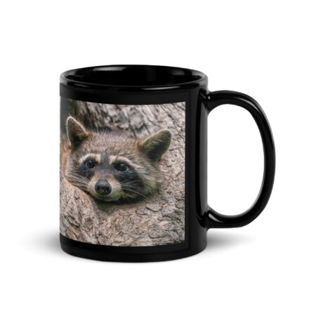 Curious Mama Racoon guarding its den! Black Glossy Mug