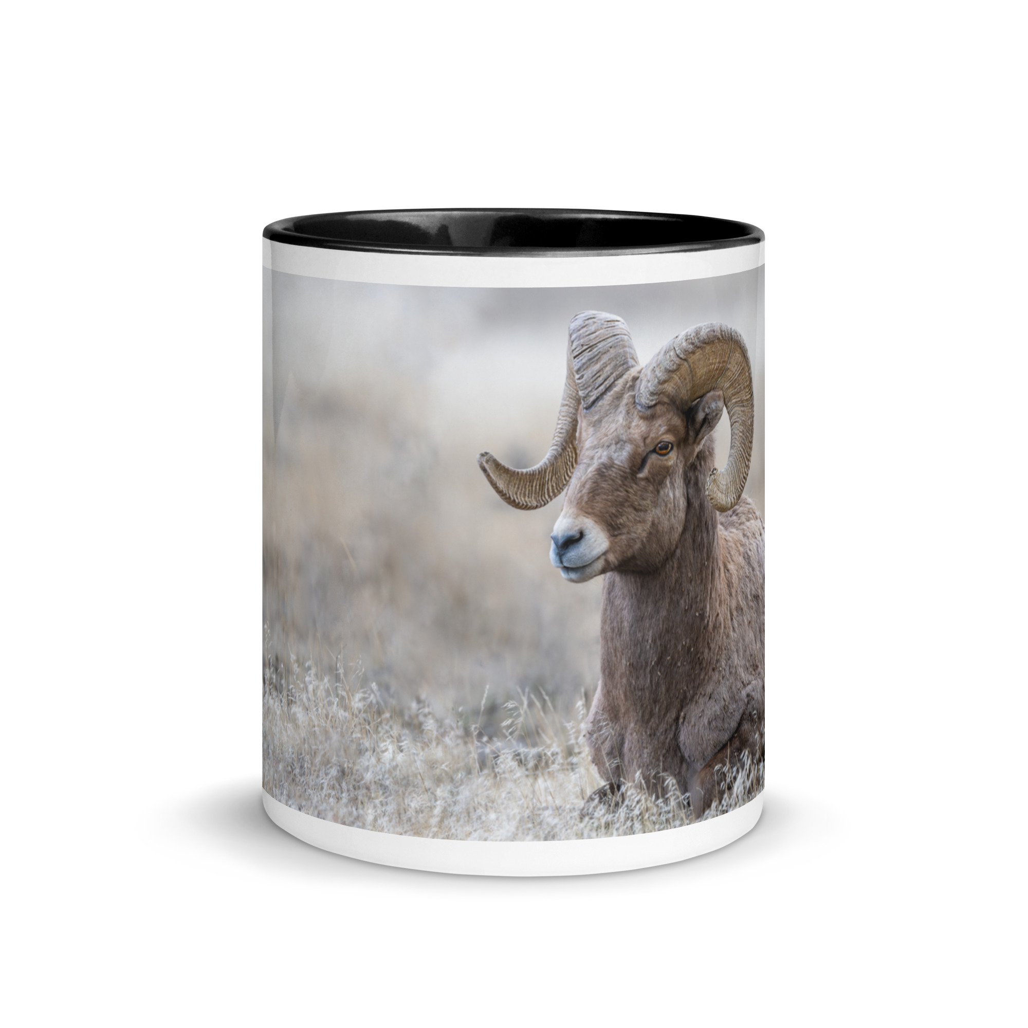 Relaxing Ram Big Horn Sheep! Mug with Color Inside - Image 20