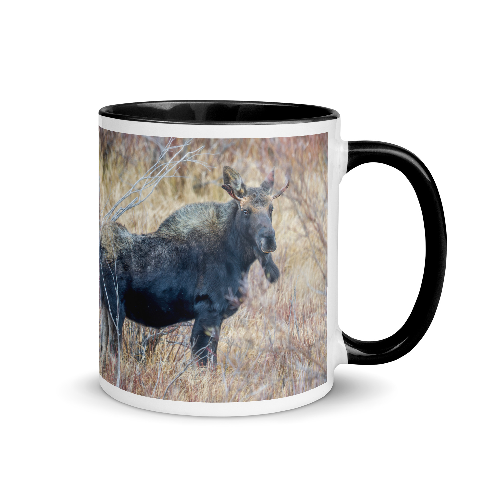 Moose Amidst Autumn Shrubs! Mug with Color Inside - Image 2