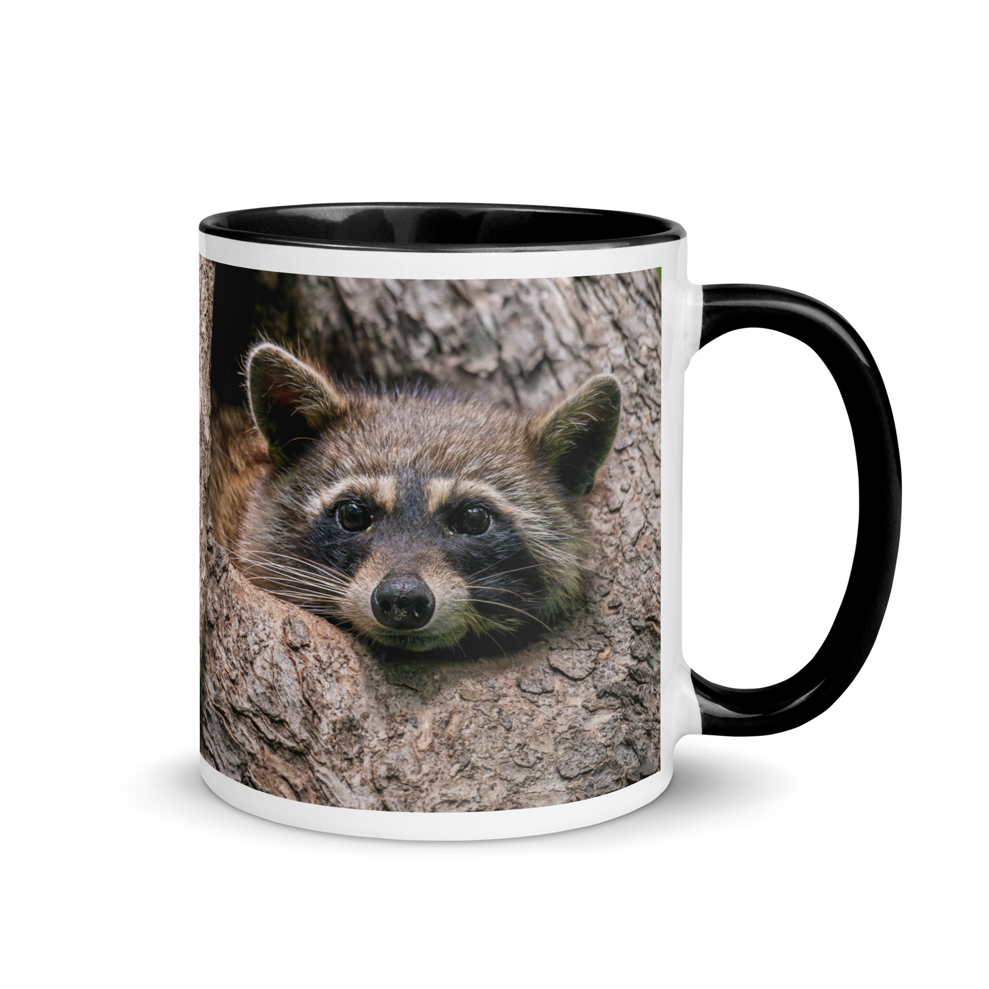 Curious Mama Racoon guarding its den! Mug with Color Inside - Image 2