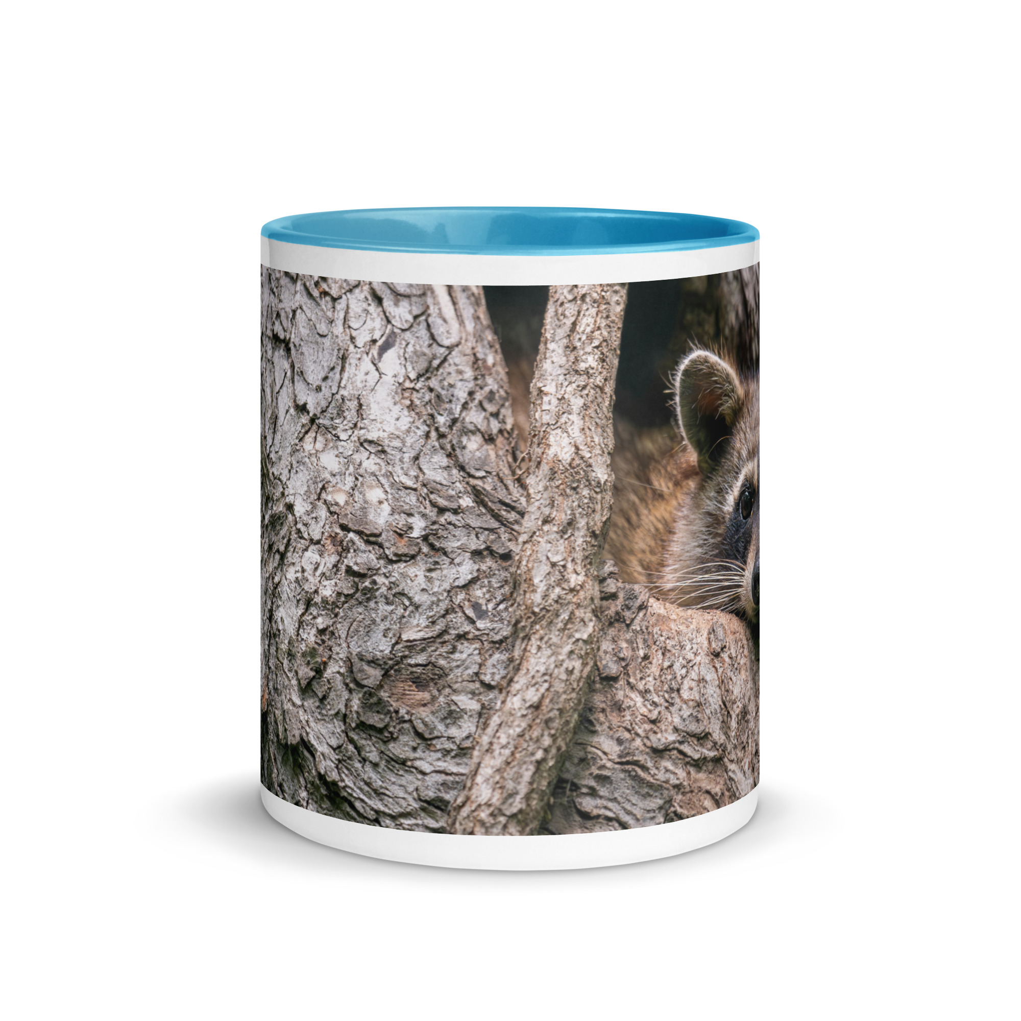 Curious Mama Racoon guarding its den! Mug with Color Inside - Image 17