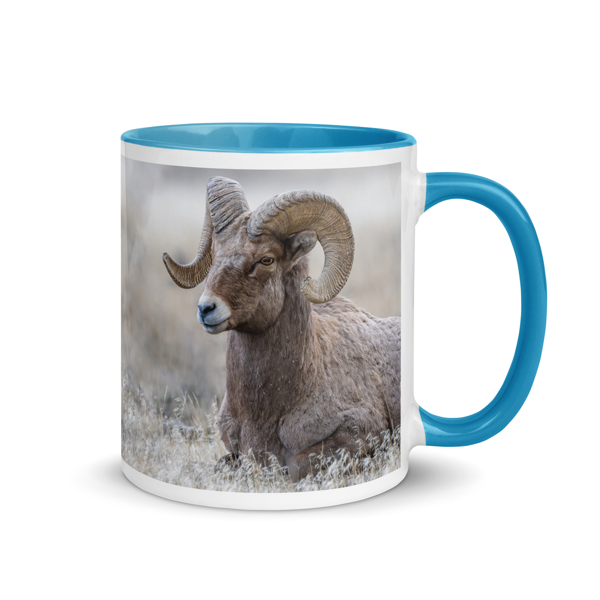 Relaxing Ram Big Horn Sheep! Mug with Color Inside - Image 55