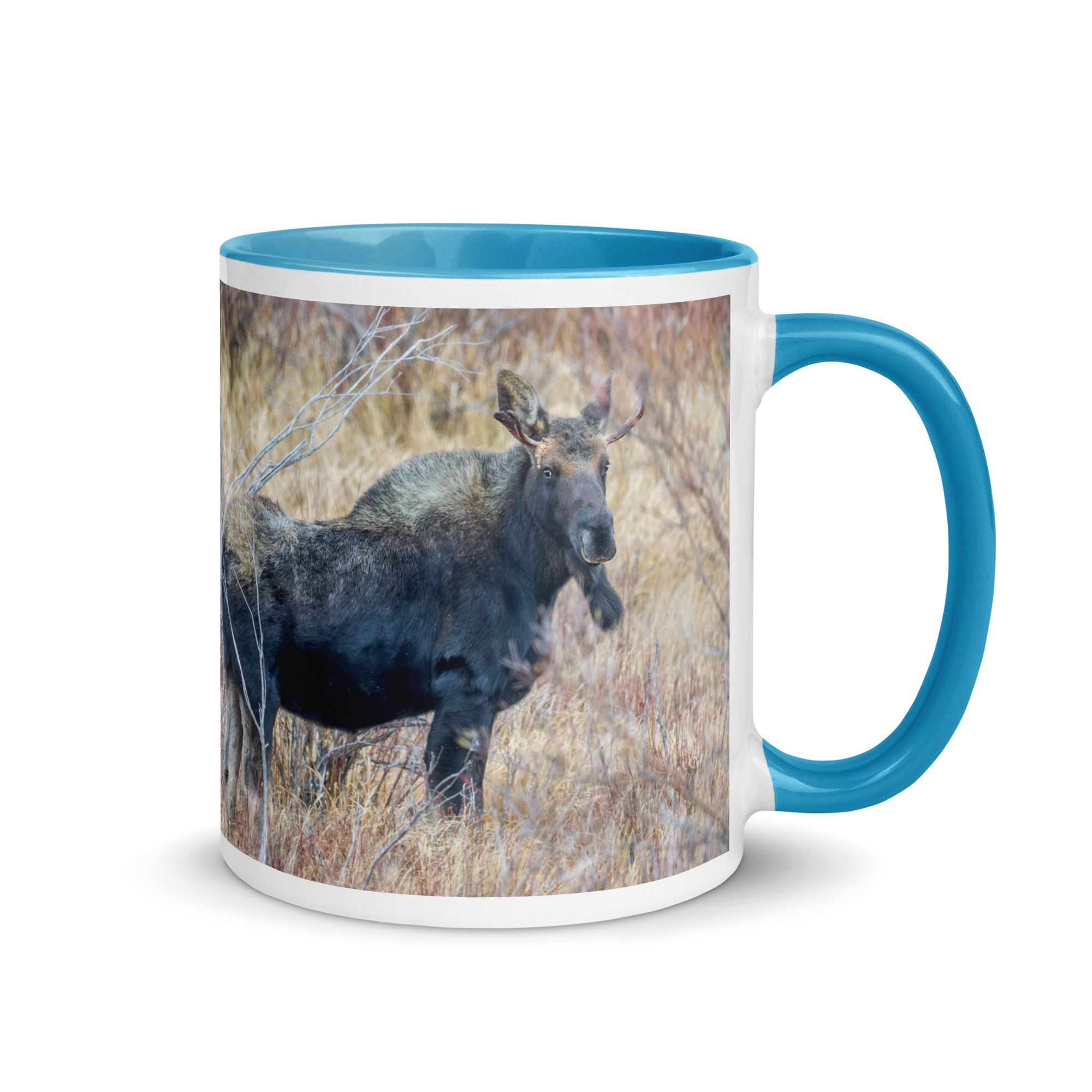 Moose Amidst Autumn Shrubs! Mug with Color Inside - Image 16