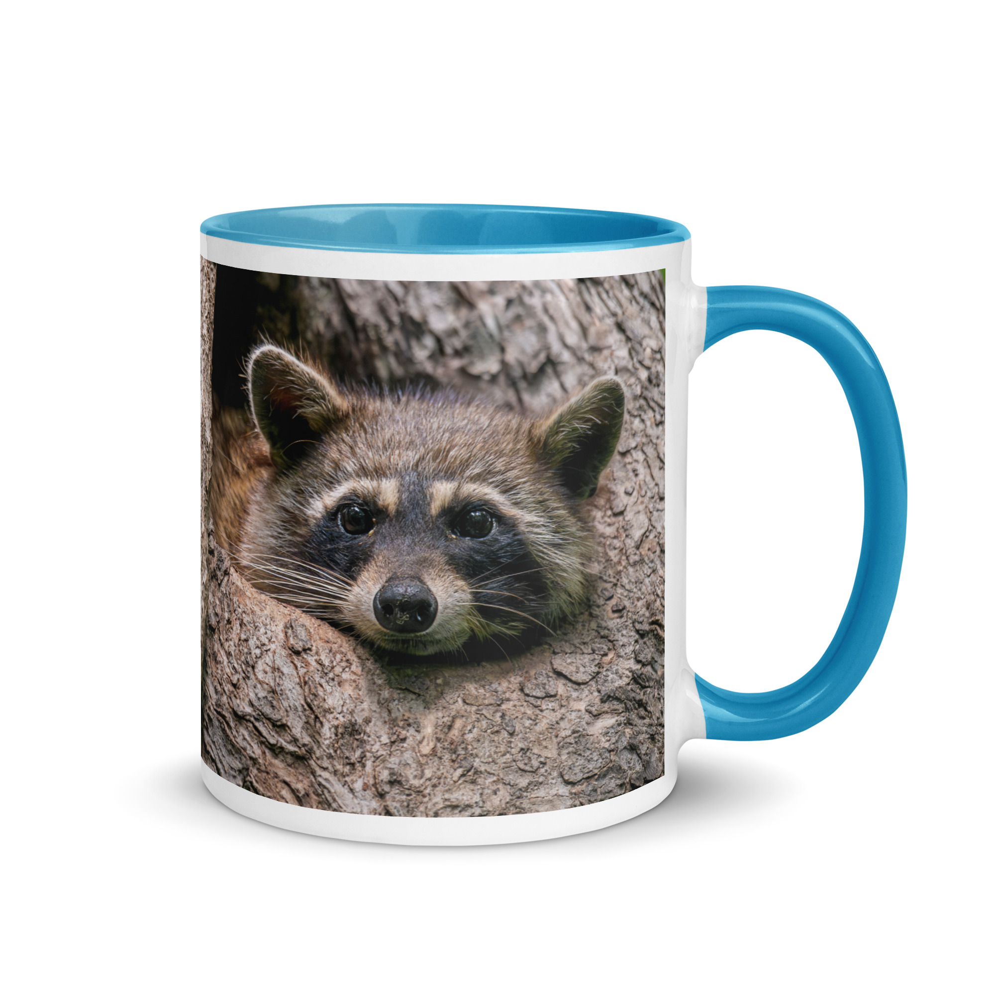 Curious Mama Racoon guarding its den! Mug with Color Inside - Image 16