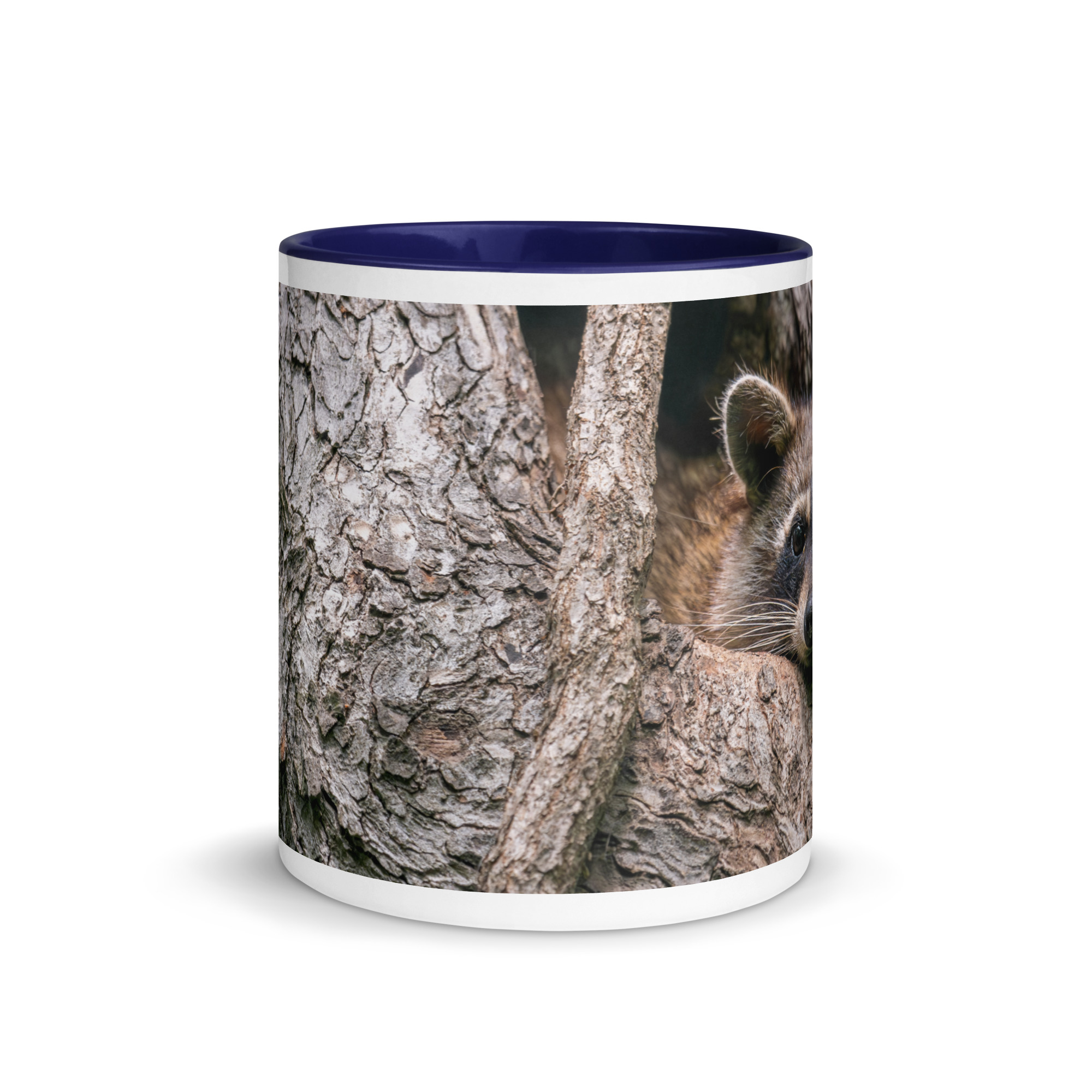 Curious Mama Racoon guarding its den! Mug with Color Inside - Image 6