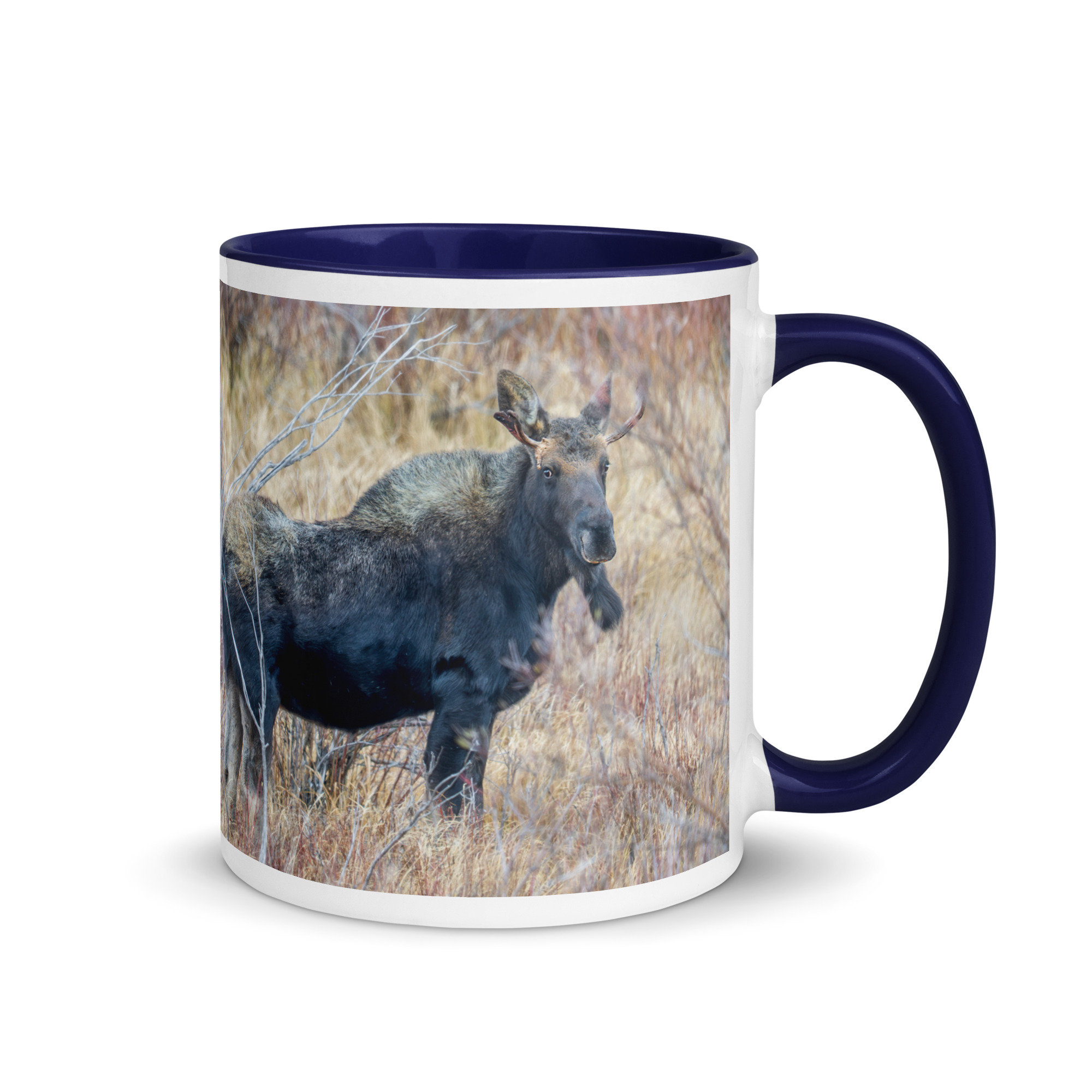 Moose Amidst Autumn Shrubs! Mug with Color Inside - Image 5