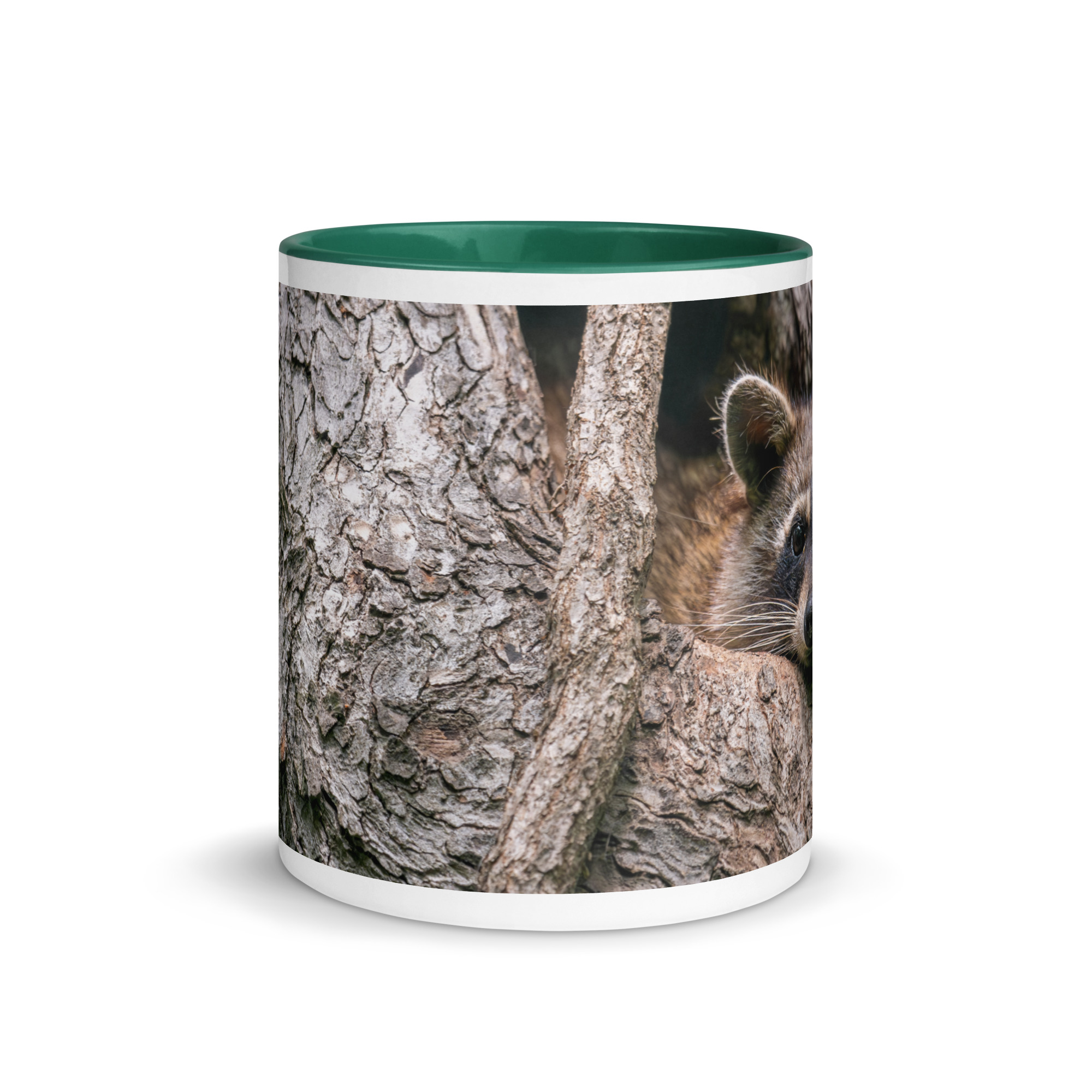 Curious Mama Racoon guarding its den! Mug with Color Inside - Image 11