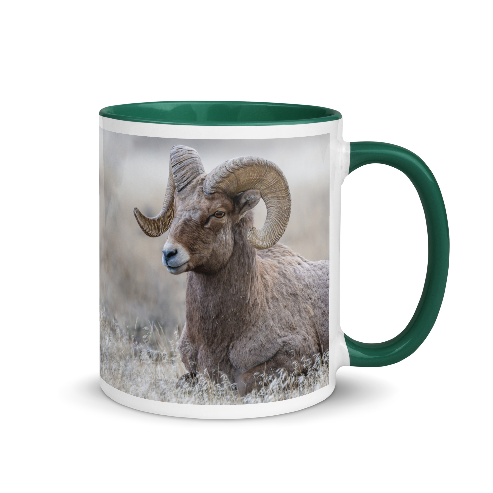 Relaxing Ram Big Horn Sheep! Mug with Color Inside - Image 49