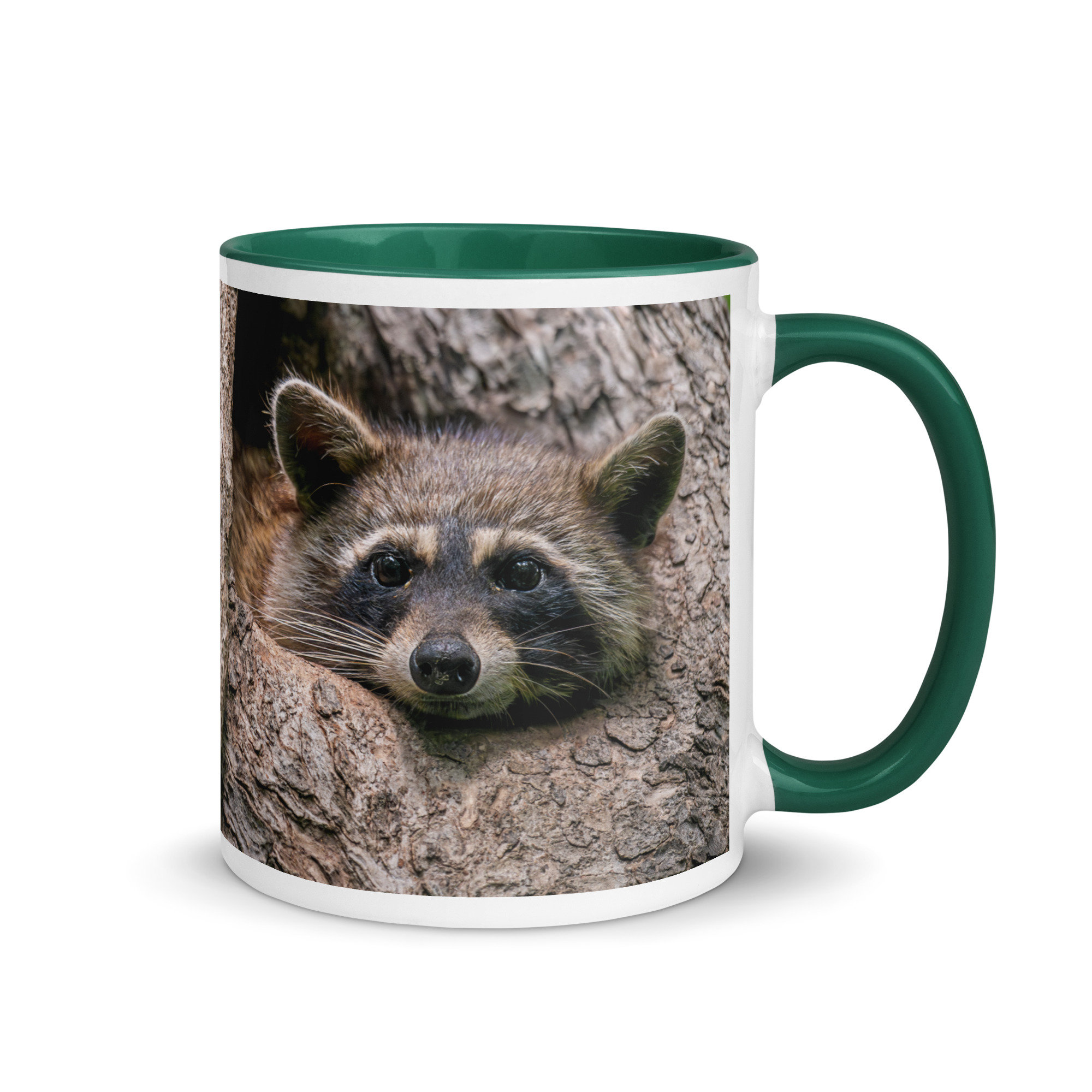Curious Mama Racoon guarding its den! Mug with Color Inside - Image 10