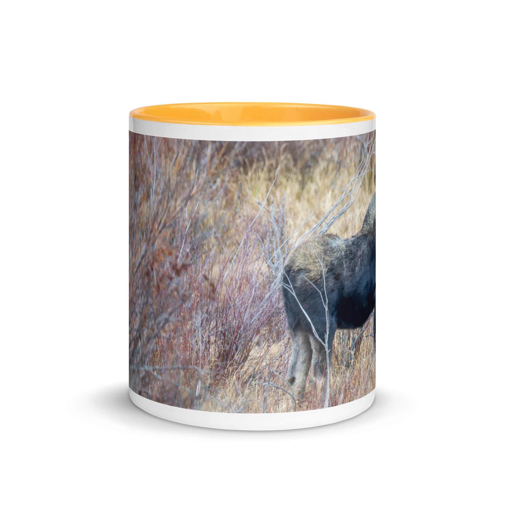 Moose Amidst Autumn Shrubs! Mug with Color Inside - Image 23