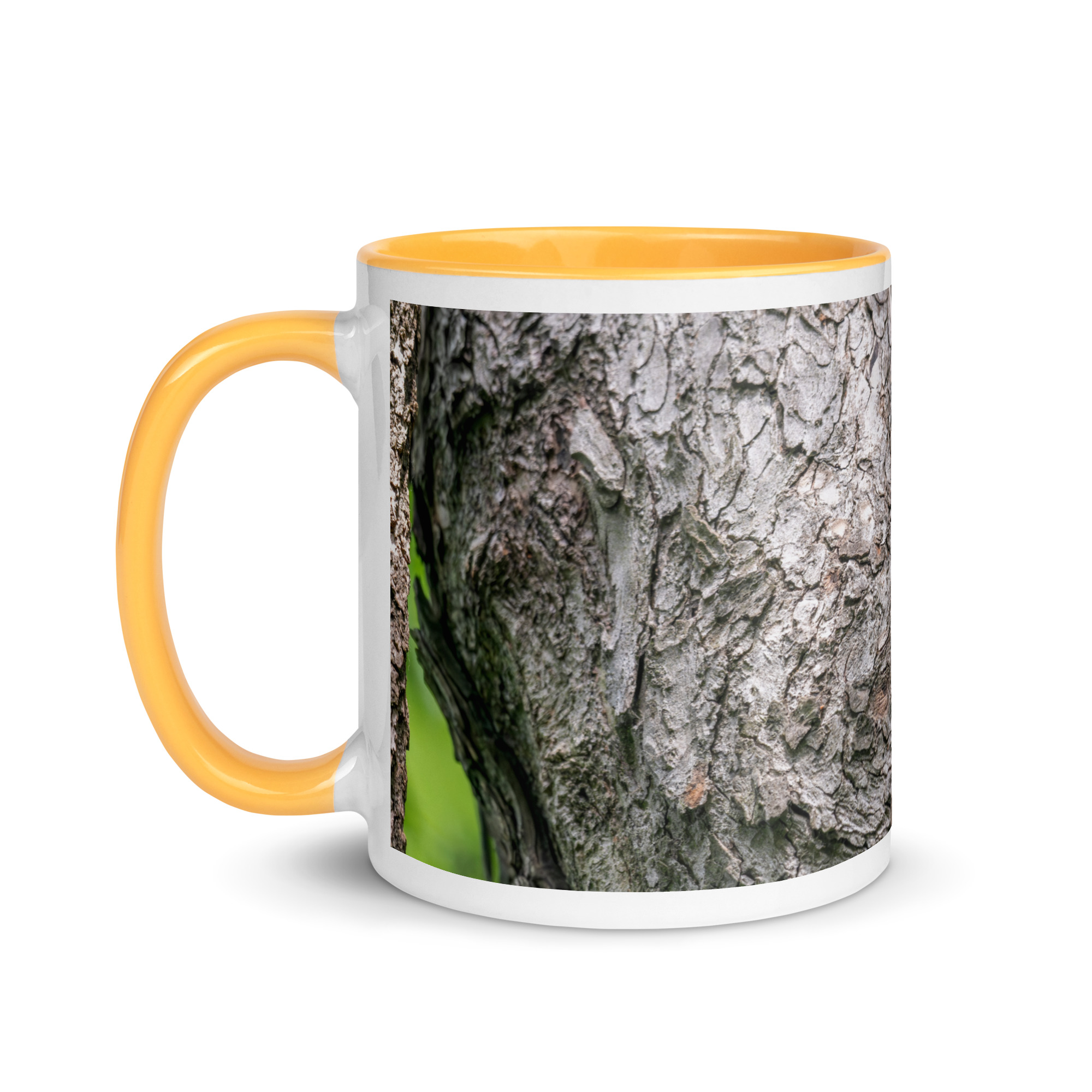 Curious Mama Racoon guarding its den! Mug with Color Inside - Image 24