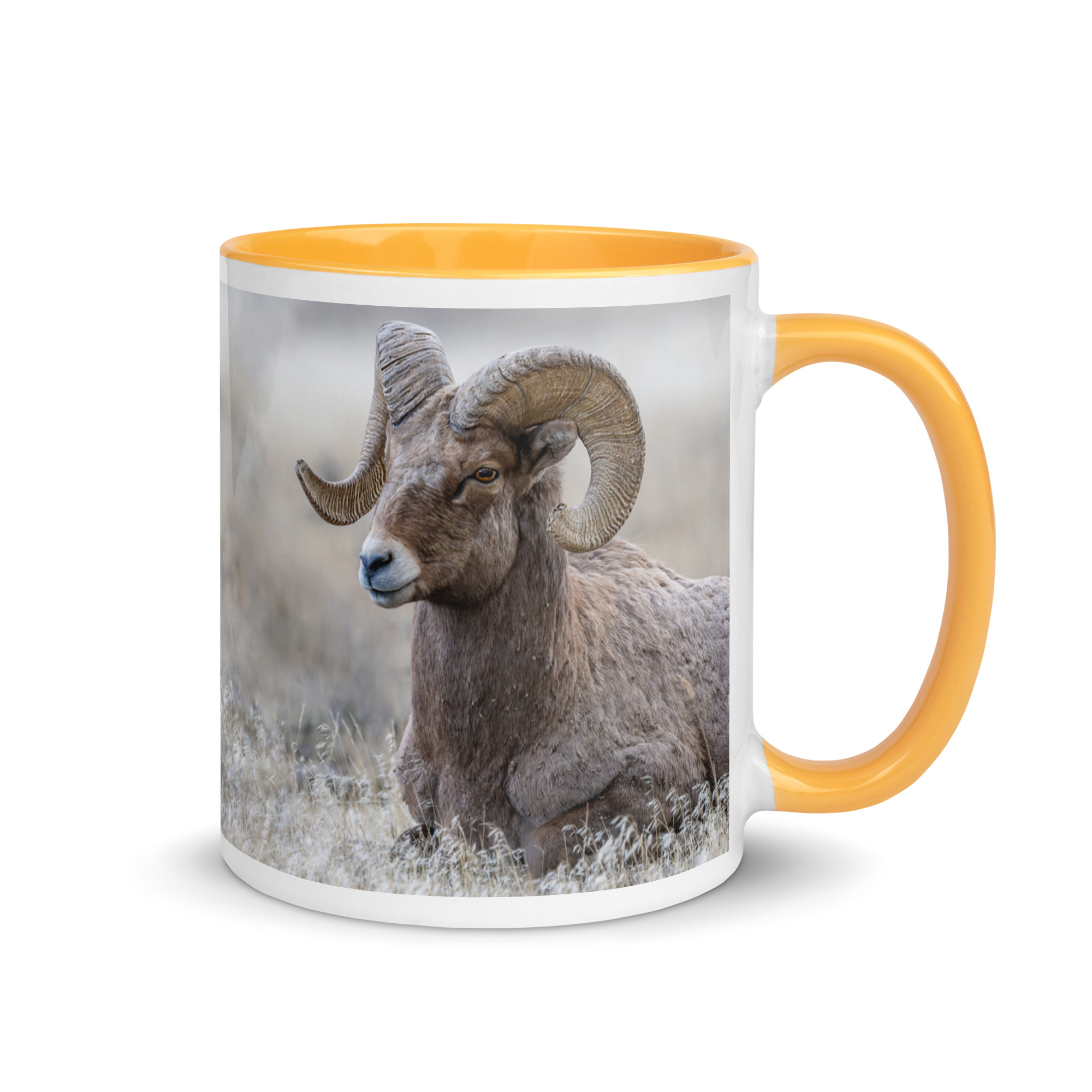 Relaxing Ram Big Horn Sheep! Mug with Color Inside - Image 61